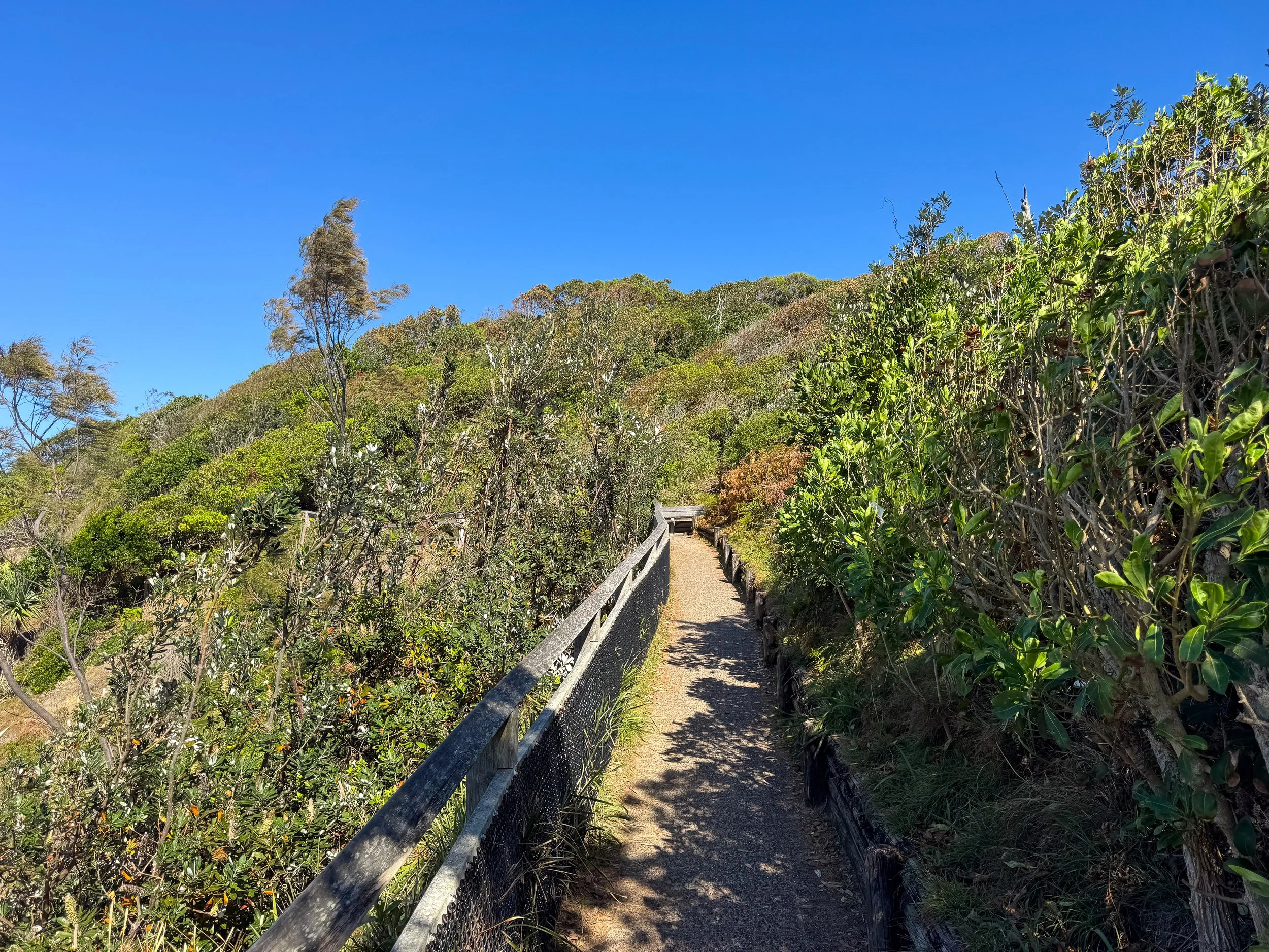 Cape_Byron_Walking_Path_02.jpg