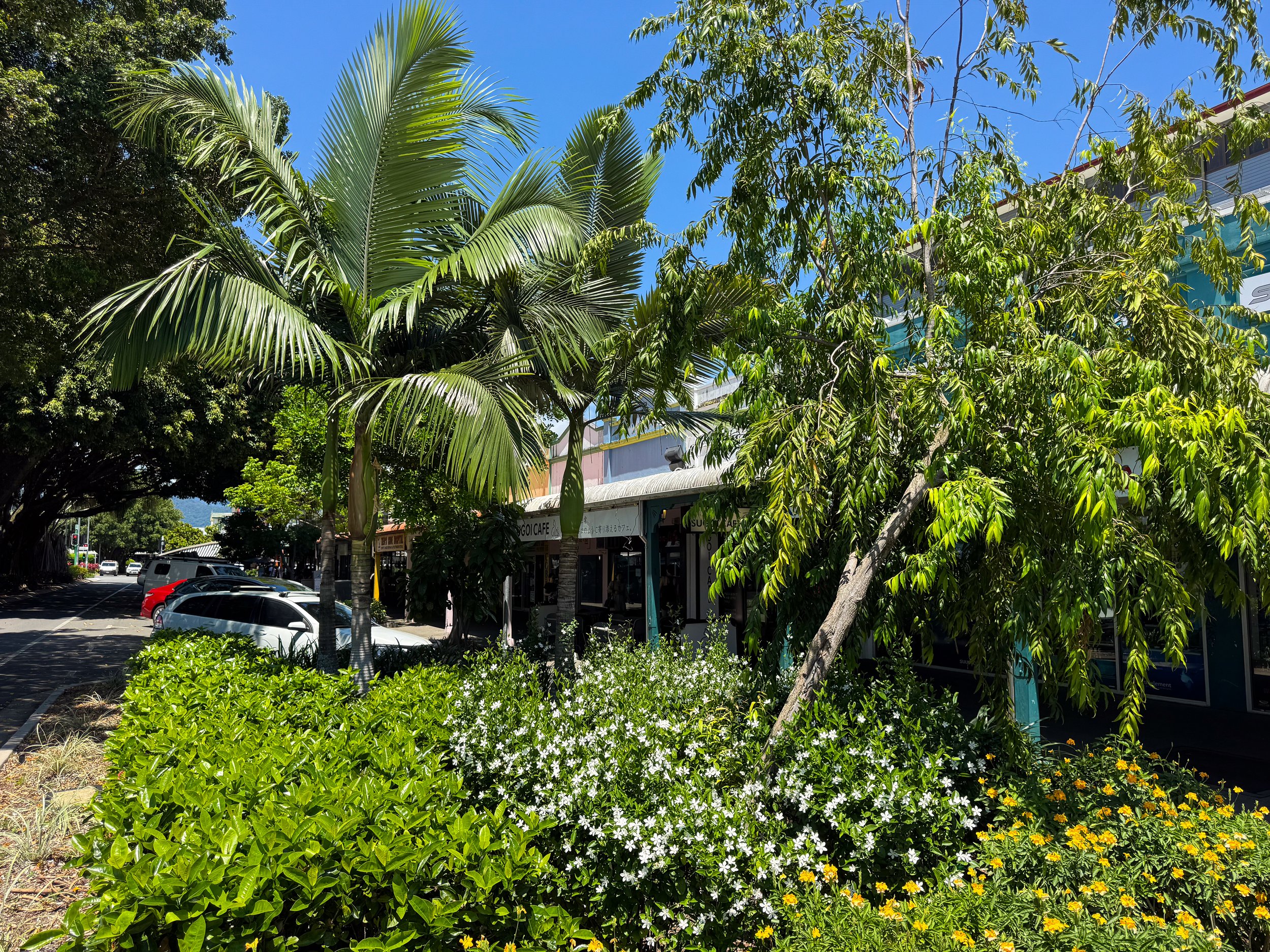 Cairns_Queensland_02.jpg