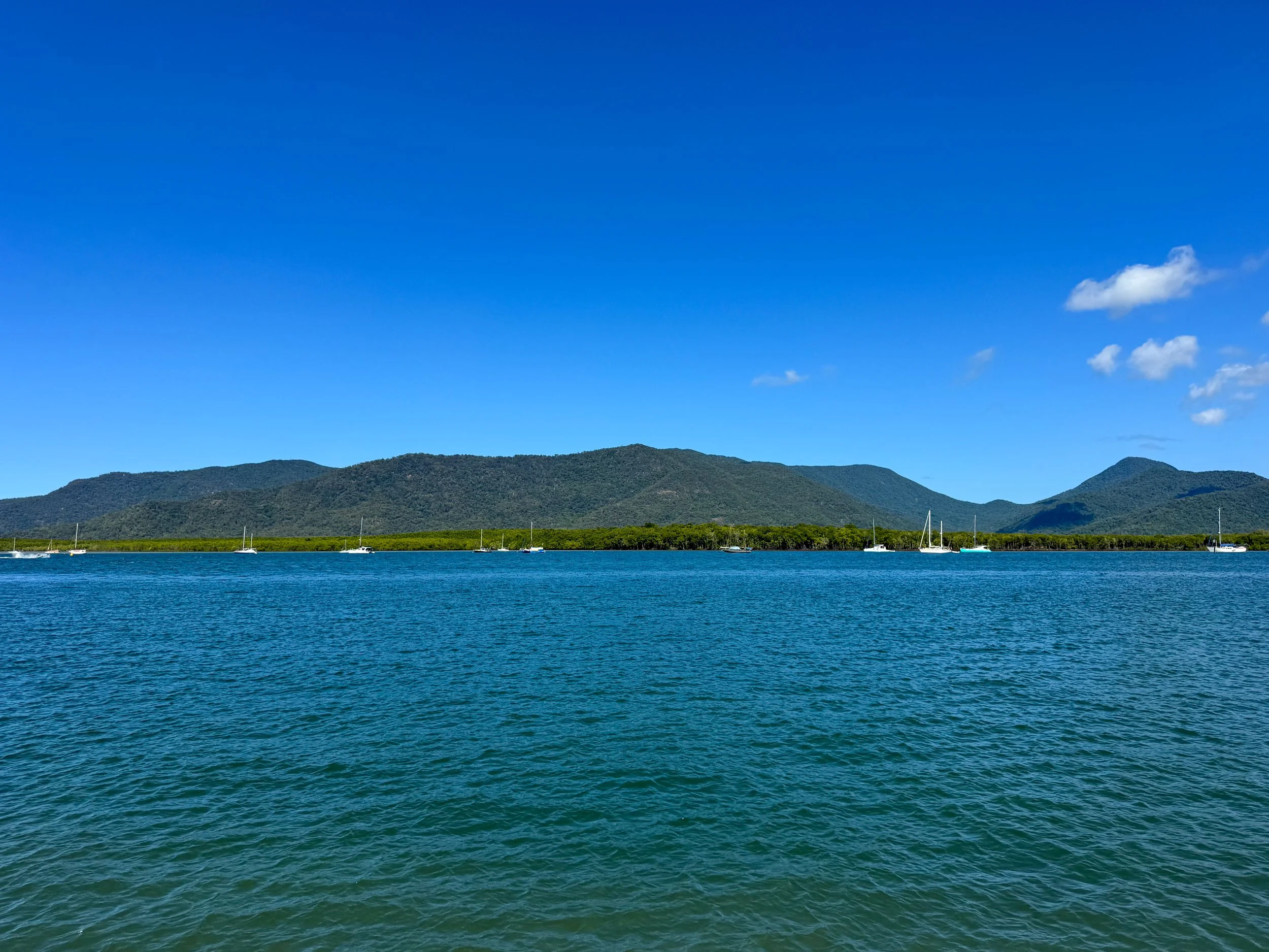 Cairns_Esplanade_05.jpg