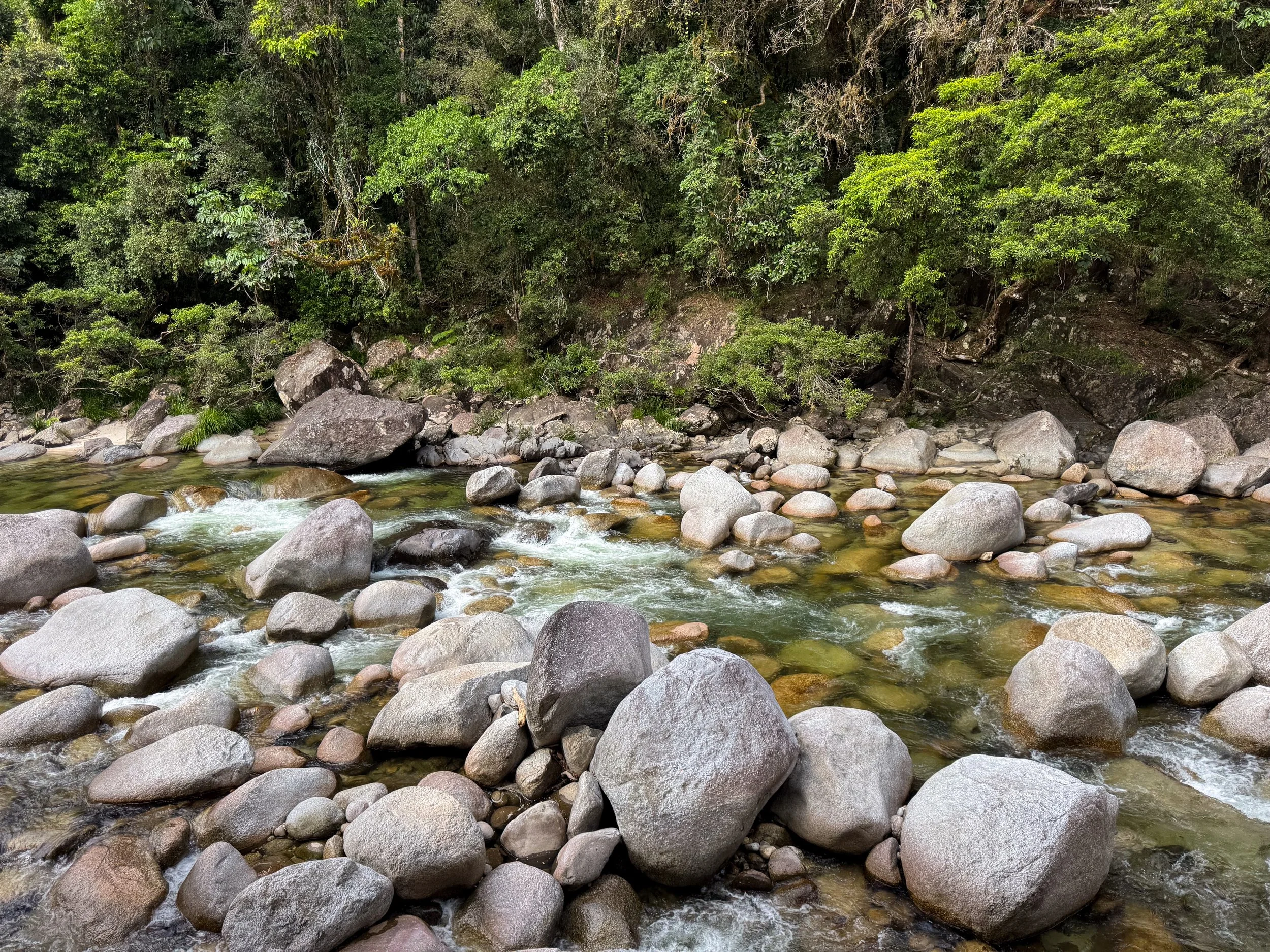 Mossman_Gorge_01.jpg