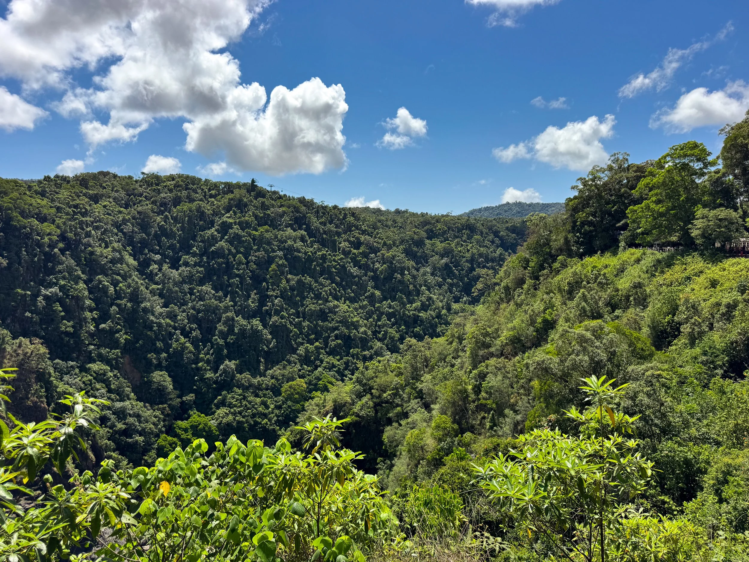Kuranda_Scenic_Railway_04.jpg