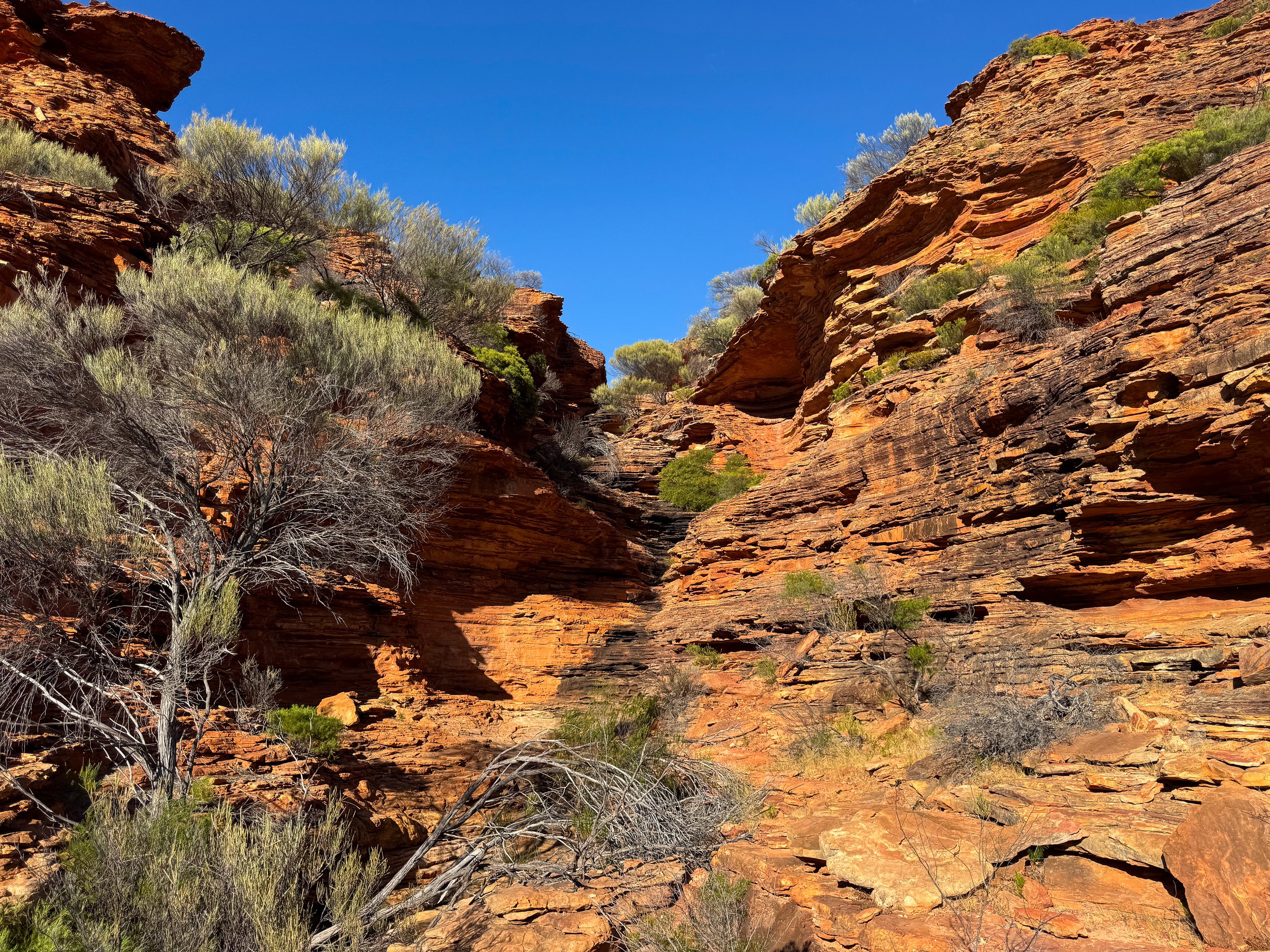 Kalbarri_National_Park_08.jpg