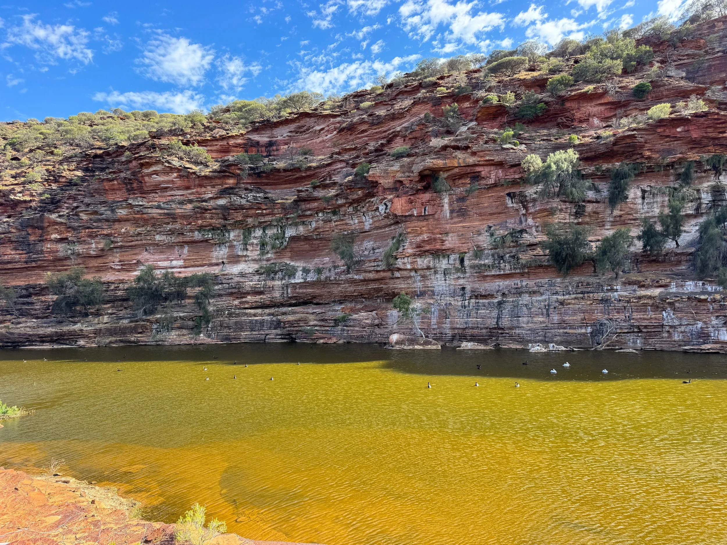 Kalbarri_National_Park_09.jpg