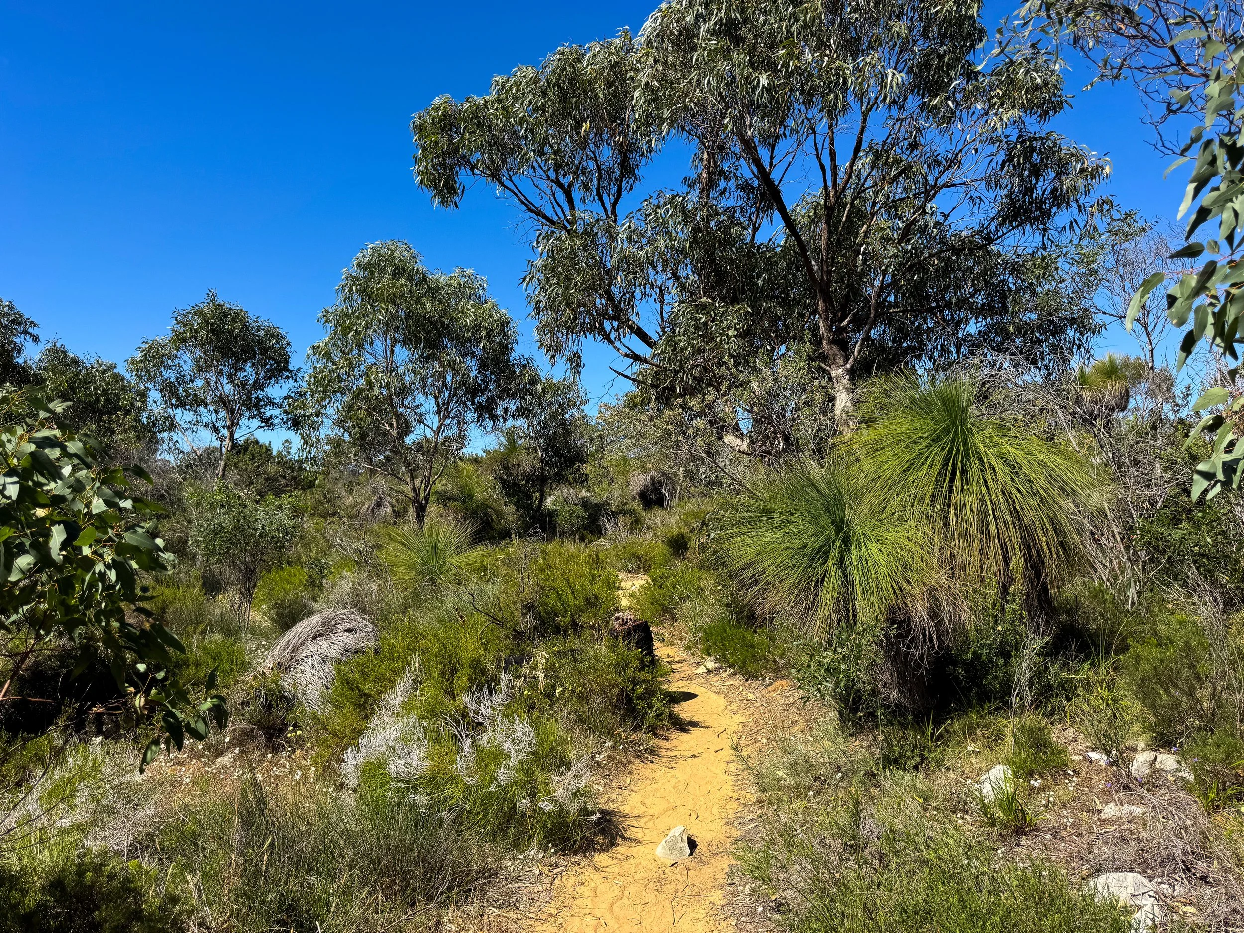 Yanchep_National_Park_02.jpg