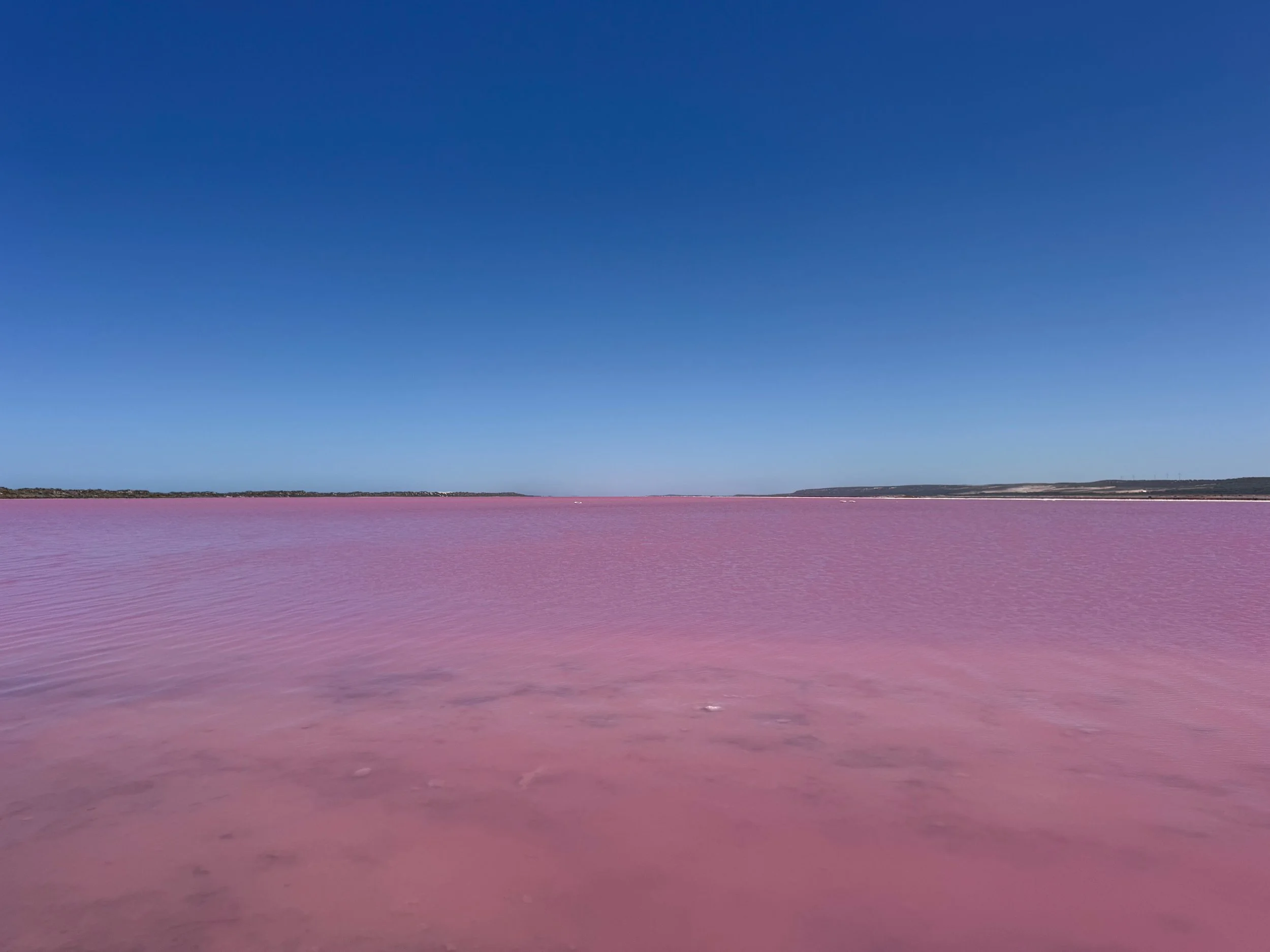 Hutt_Lagoon copy.jpg