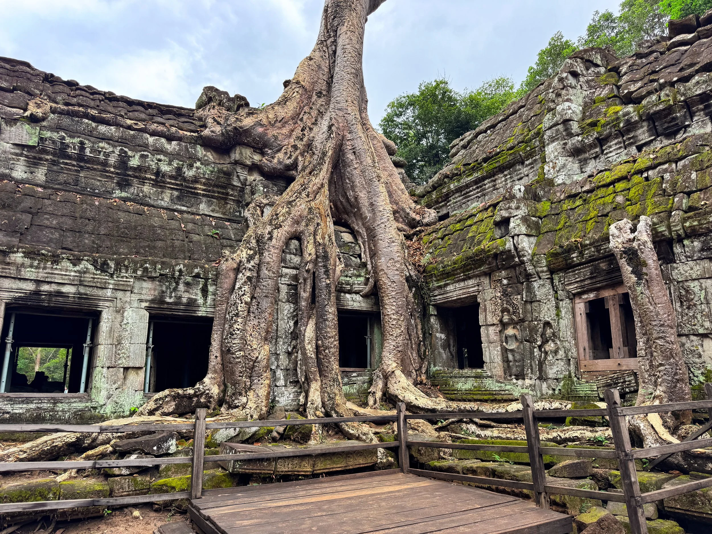 Ta_Prohm_Tomb_Raider_Temple_02.jpg