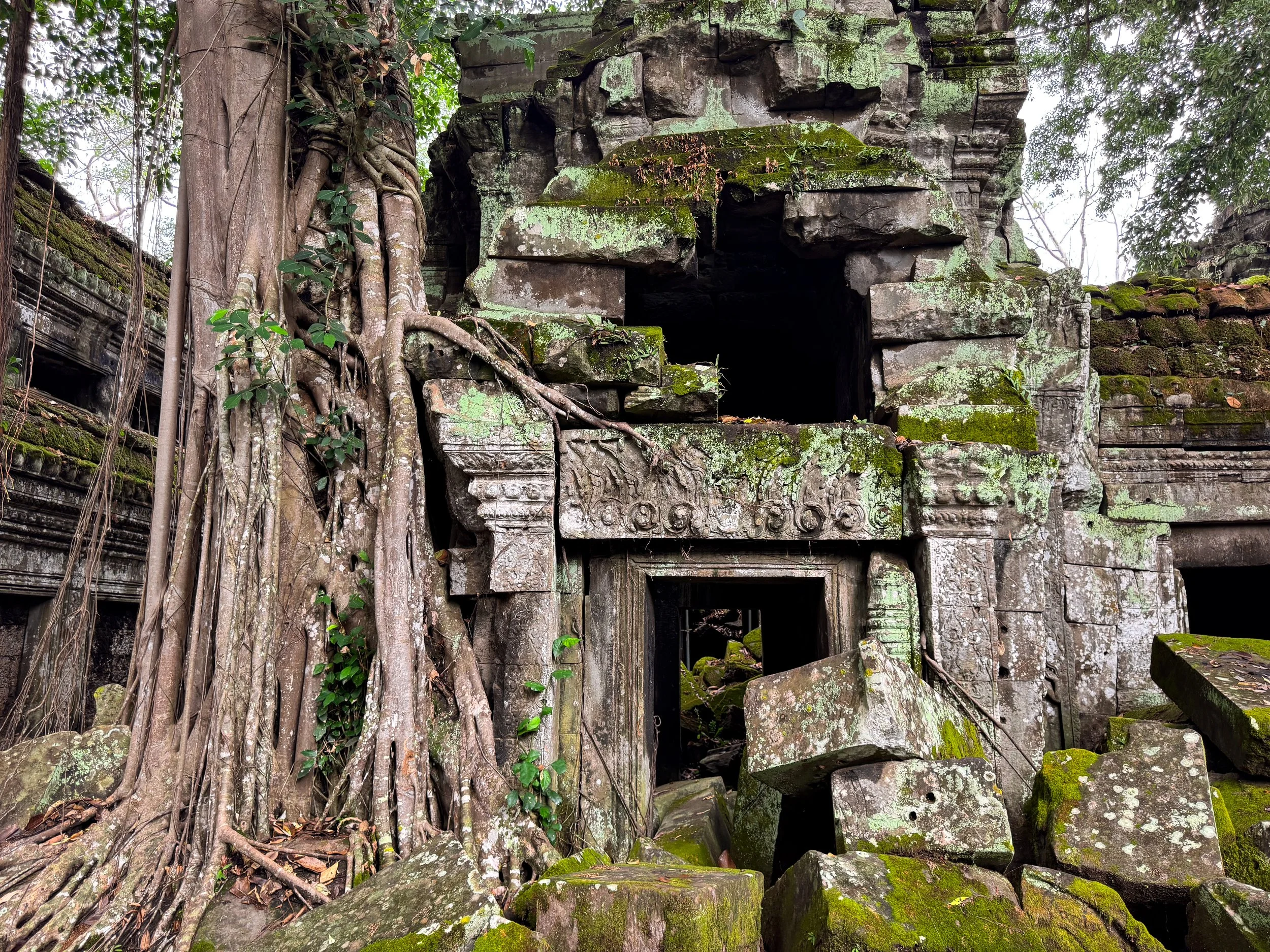 Ta_Prohm_Tomb_Raider_Temple_04.jpg