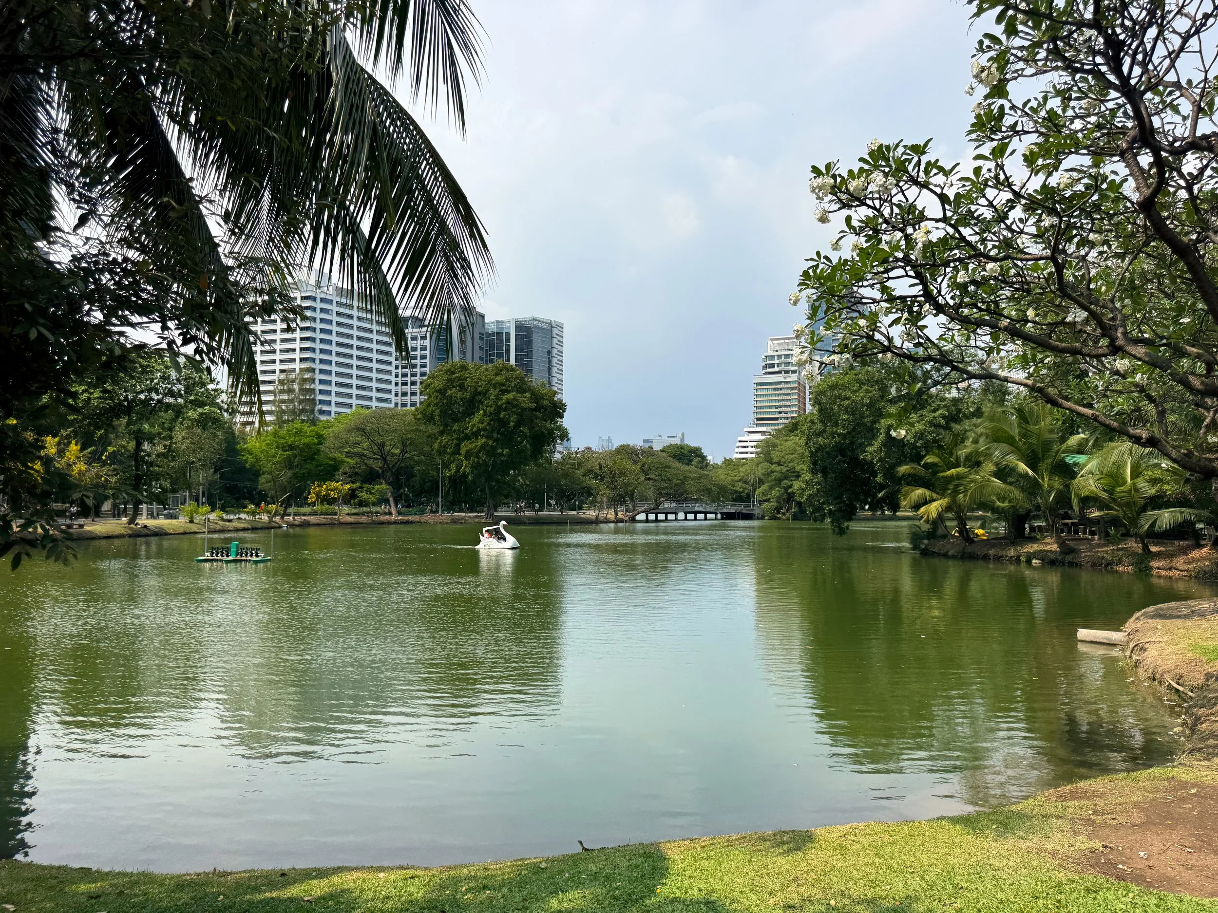 Lumphini_Park_01.jpg