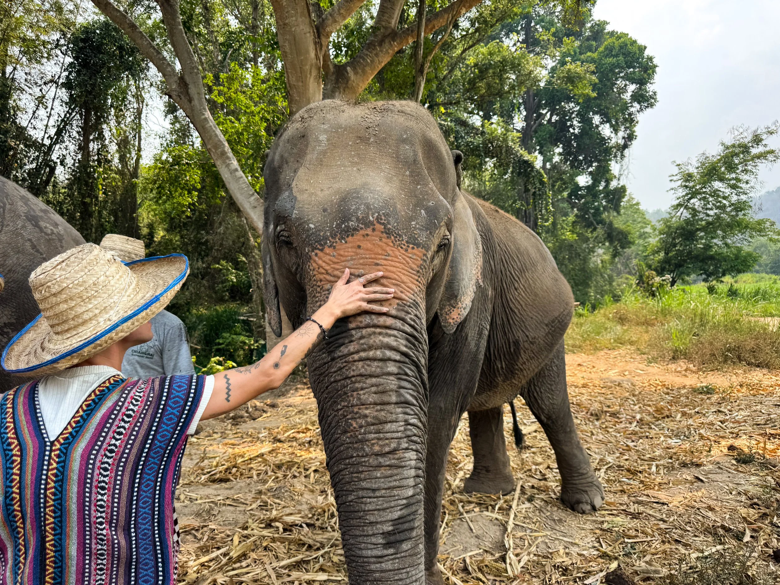 Chiang_Mai_Elephant_Home_01.jpg