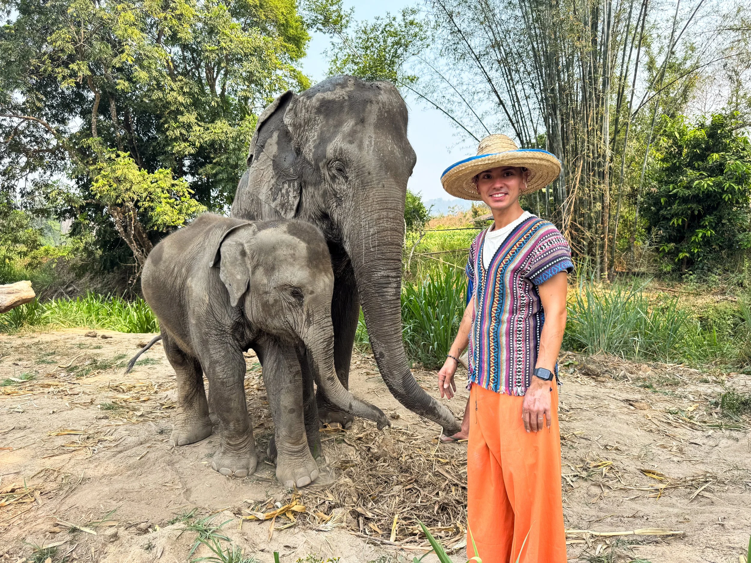 Chiang_Mai_Elephant_Home_02.jpg