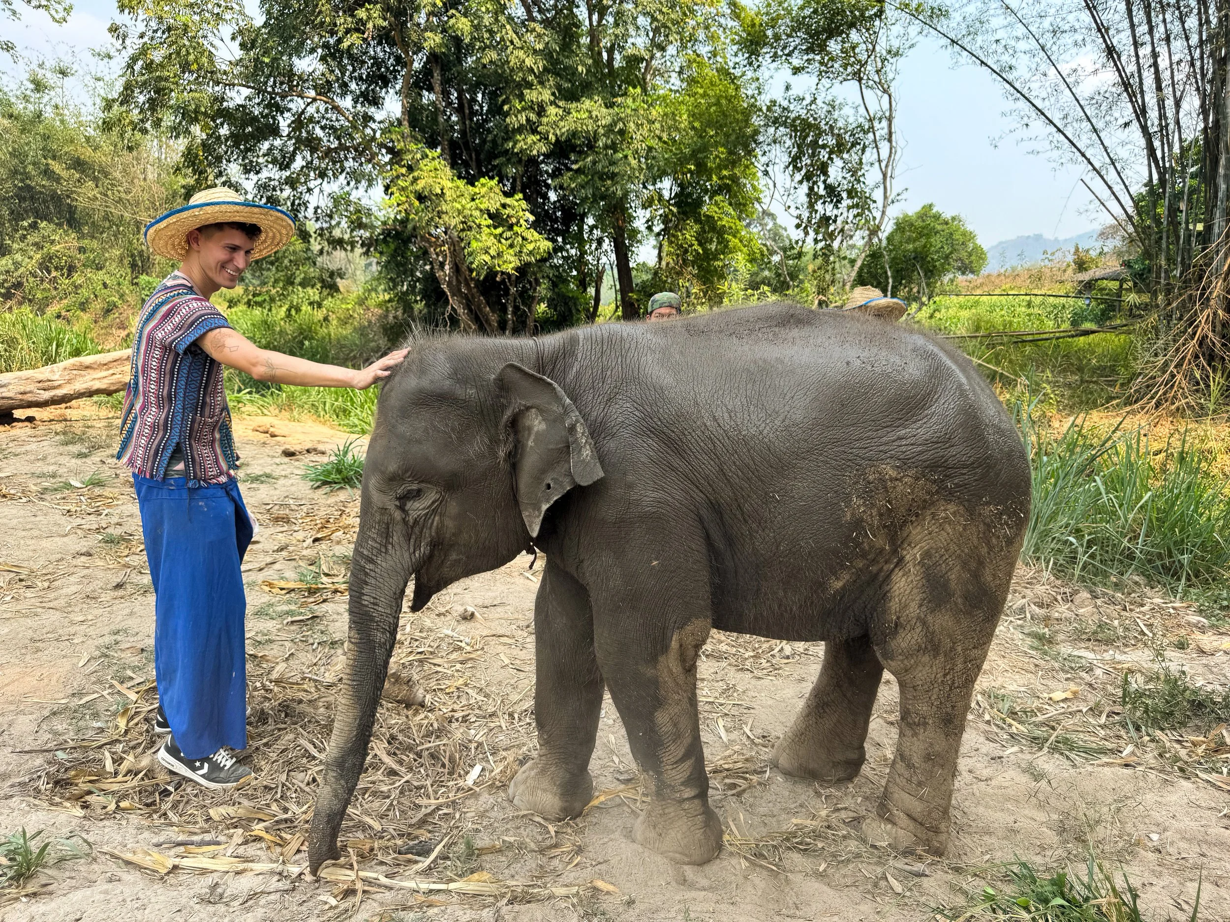 Chiang_Mai_Elephant_Home_03.jpg