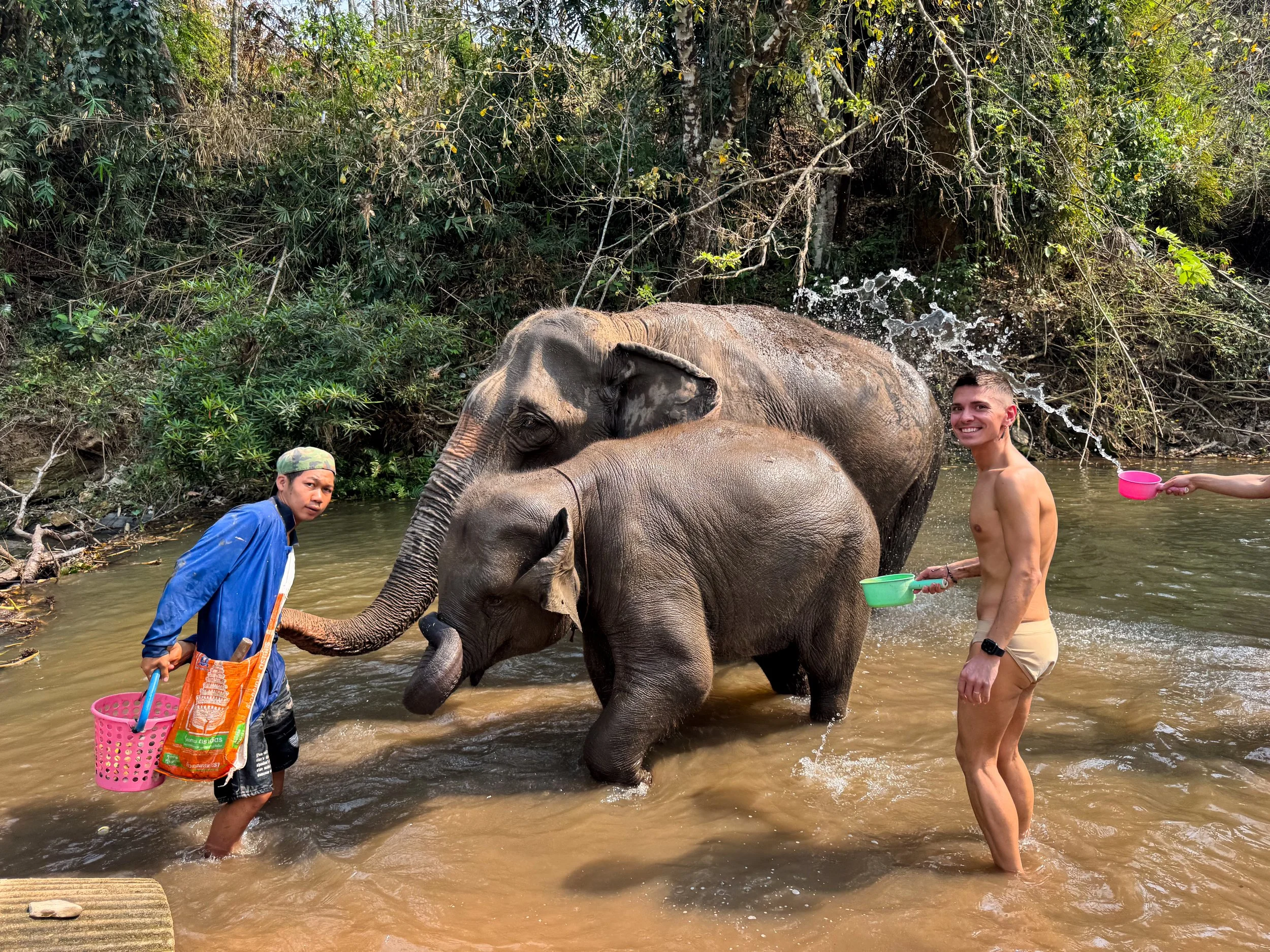 Chiang_Mai_Elephant_Home_05.jpg