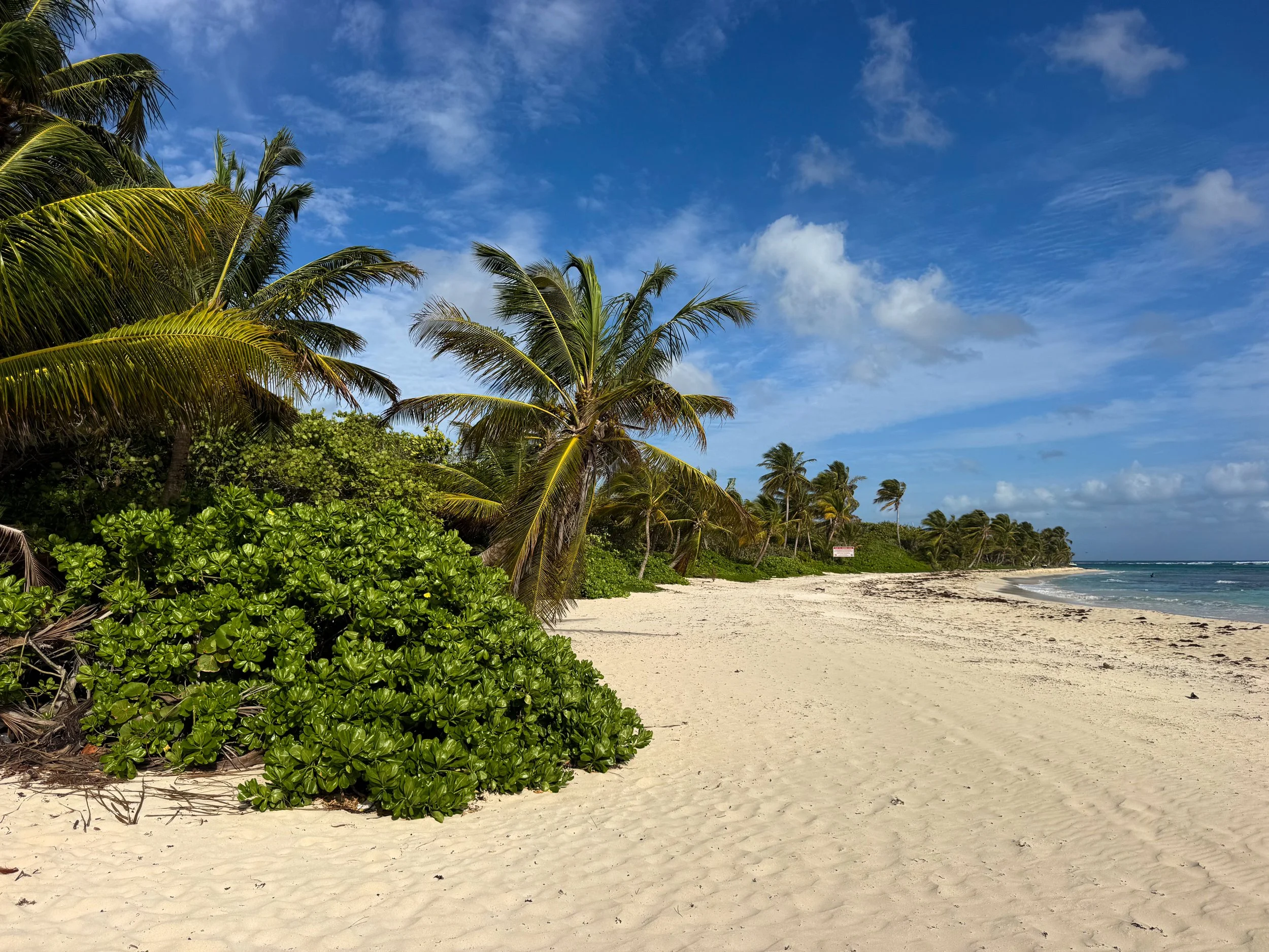 Flamenco_Beach_03.jpg