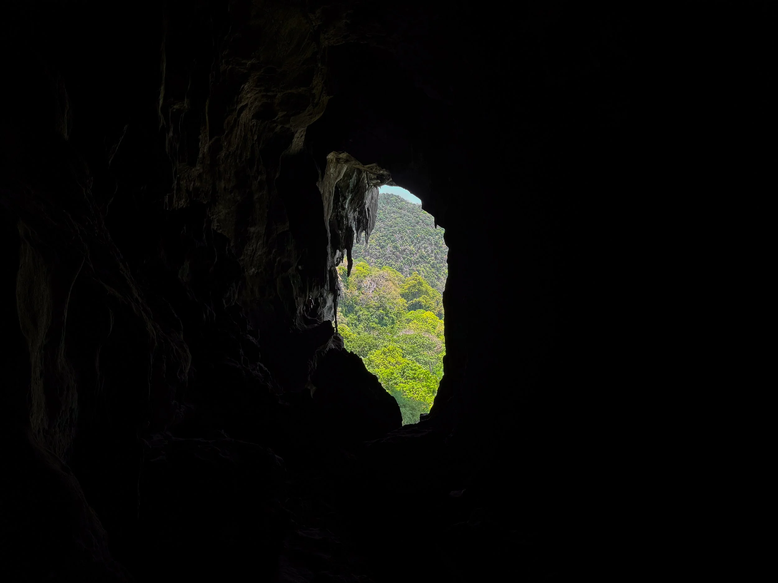 Railay_Beach_Bat_Cave_05.jpg