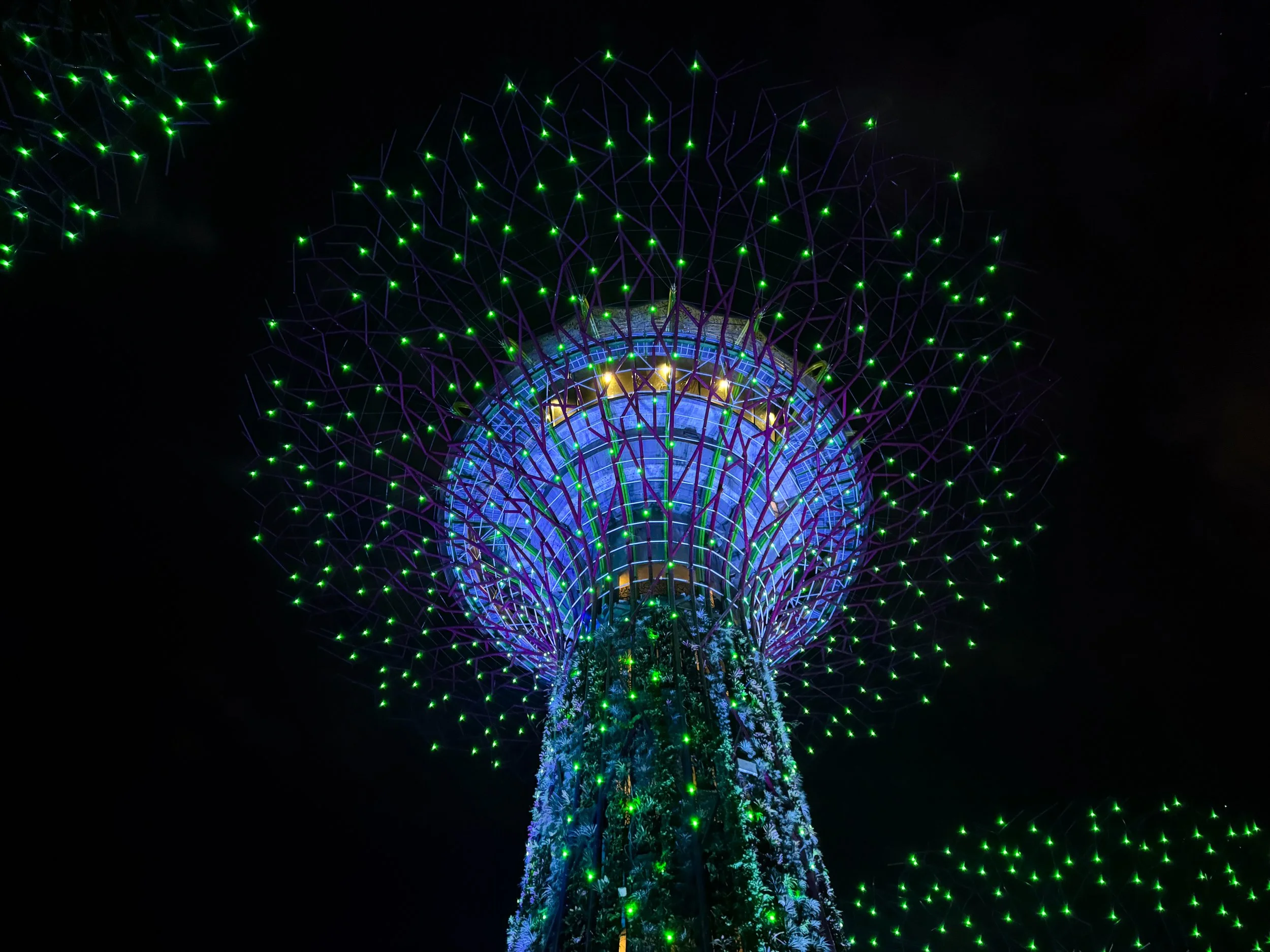 The_Super_Tree_Grove_10.jpg
