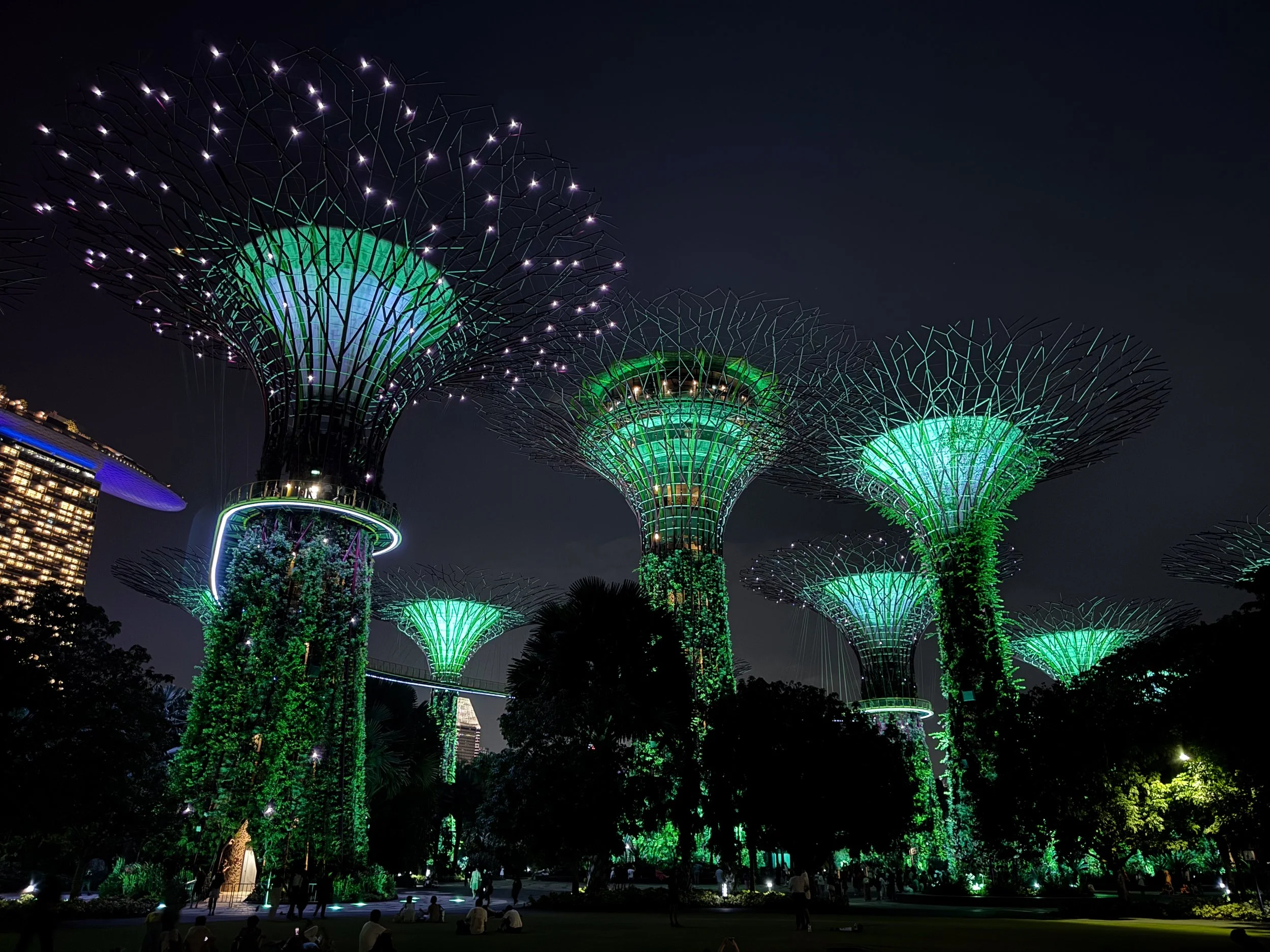 The_Super_Tree_Grove_12.jpg