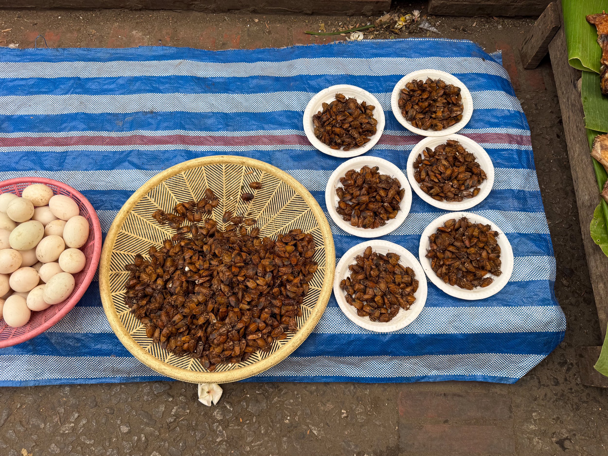 Luang_Prabang_Morning_Market_07.jpg
