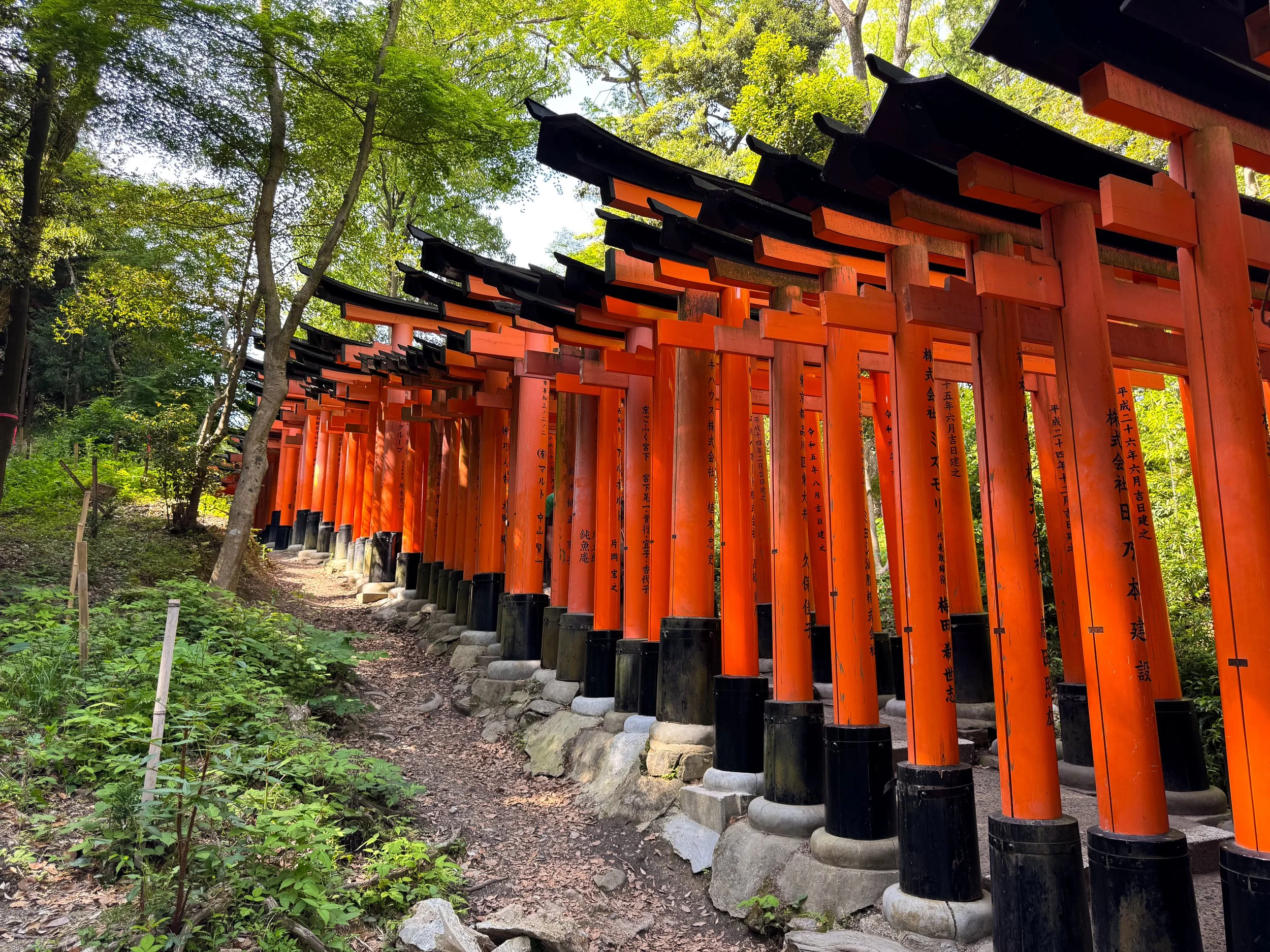 Kyoto_Fushimi_Inari_taisha_Shrine_01.jpg