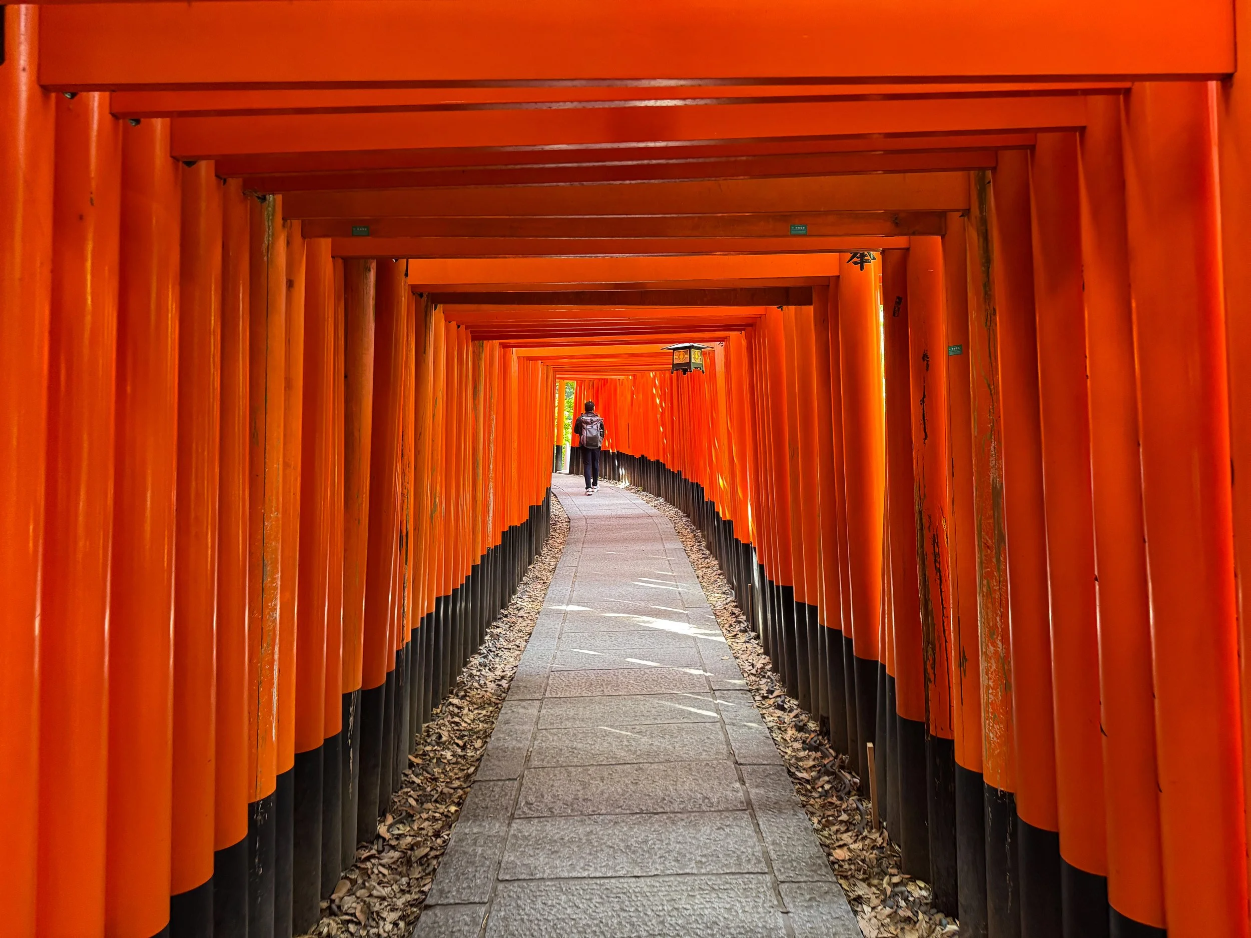 Kyoto_Fushimi_Inari_taisha_Shrine_06.jpg