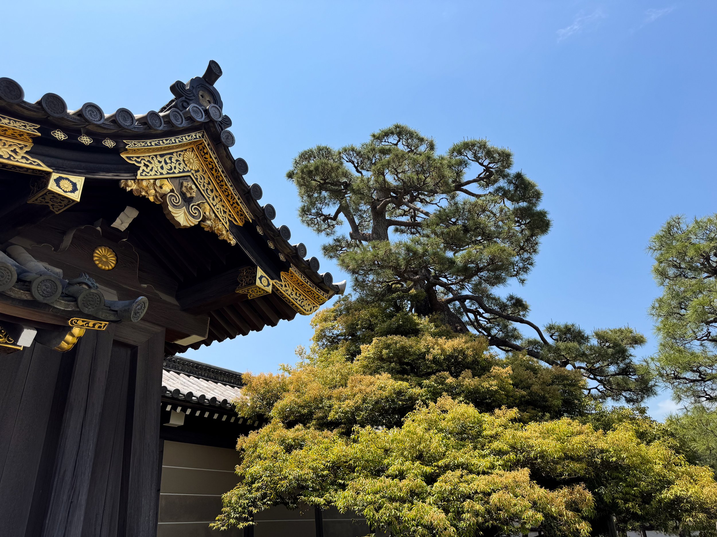 Kyoto_Nijo_Castle_05.jpg