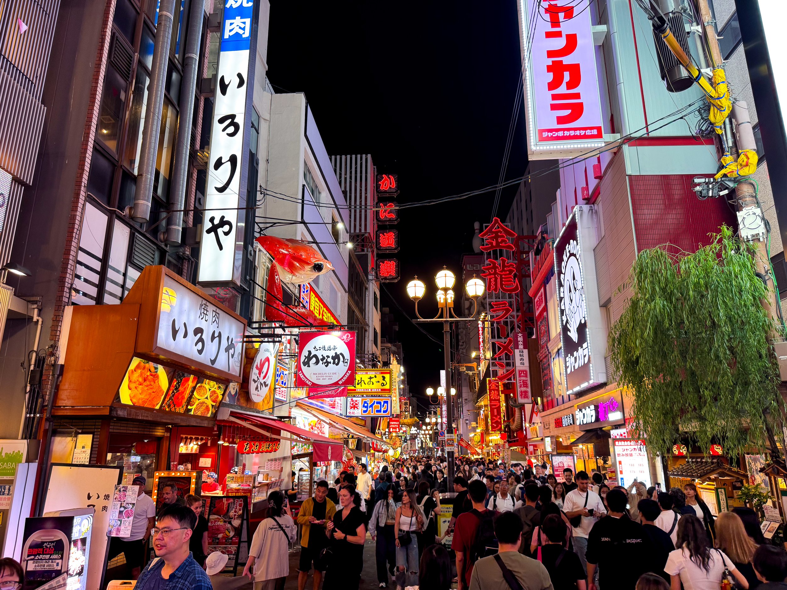 Osaka_Dotonbori_03.jpg