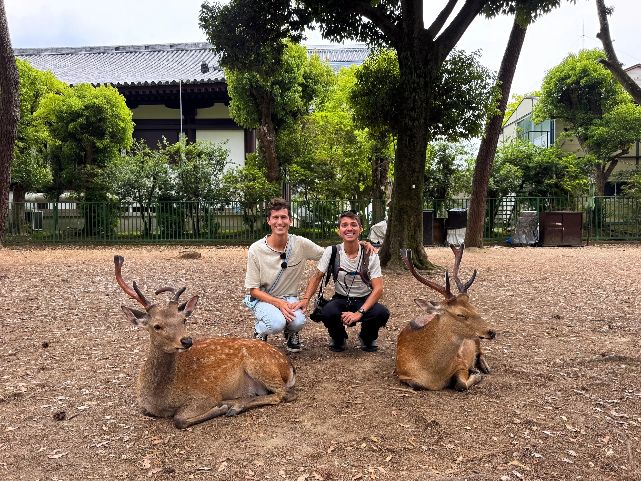 Nara_Deer_Park_05.jpg