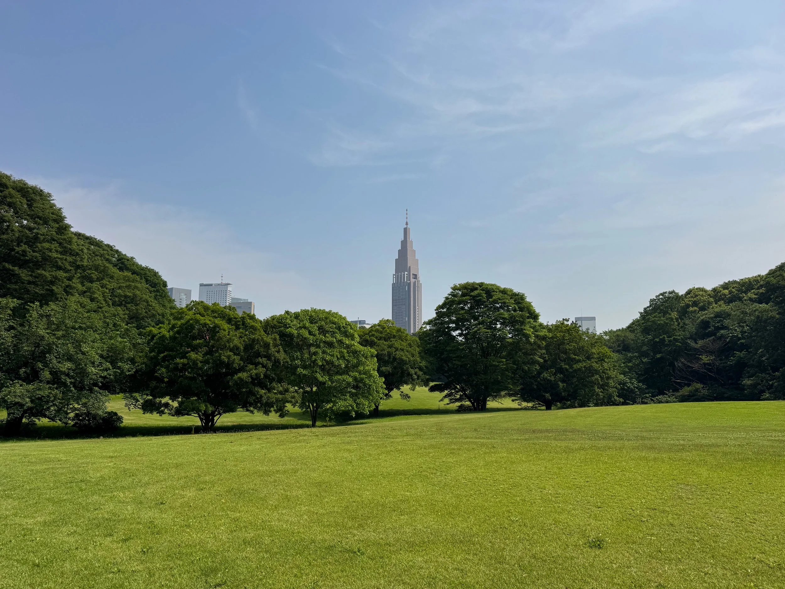 Yoyogi_Park_06.jpg