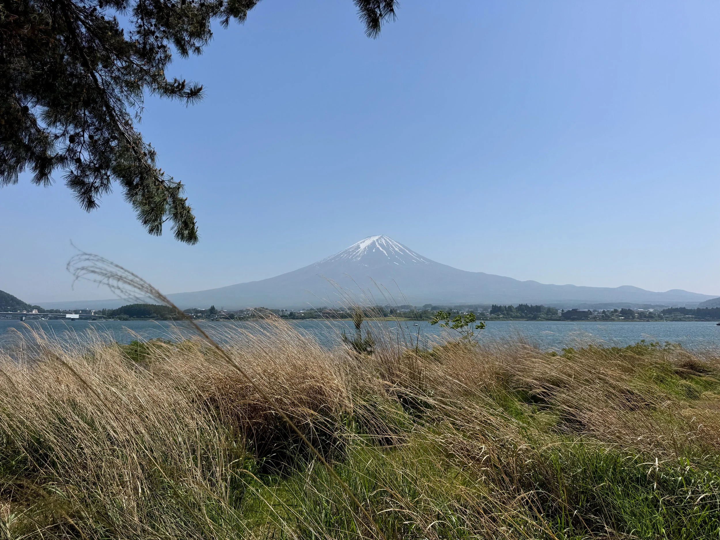 Mt_Fuji_Lake_Kawaguchi_01.jpg