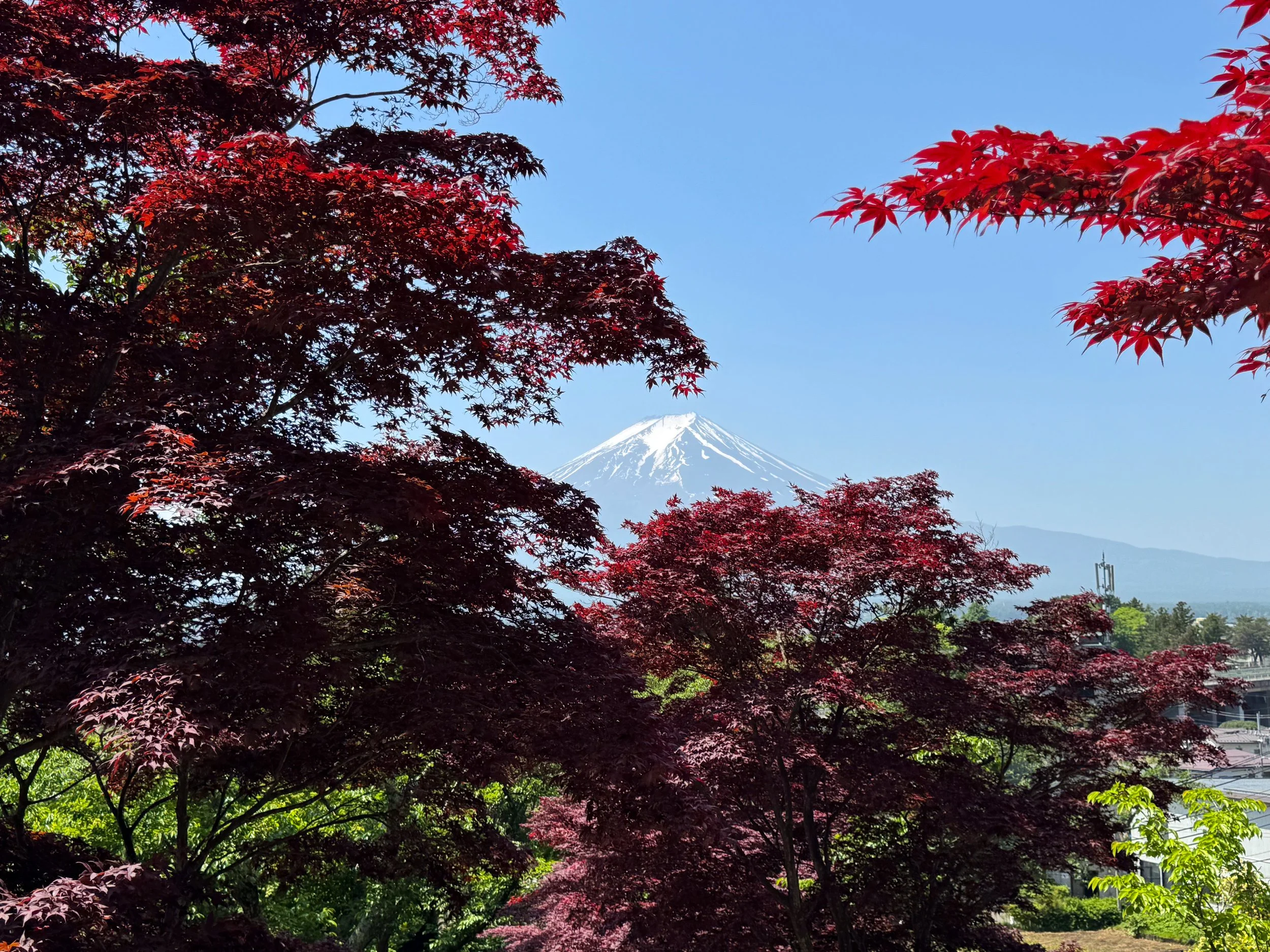 Mt_Fuji_Chureito_Pagoda_05.jpg