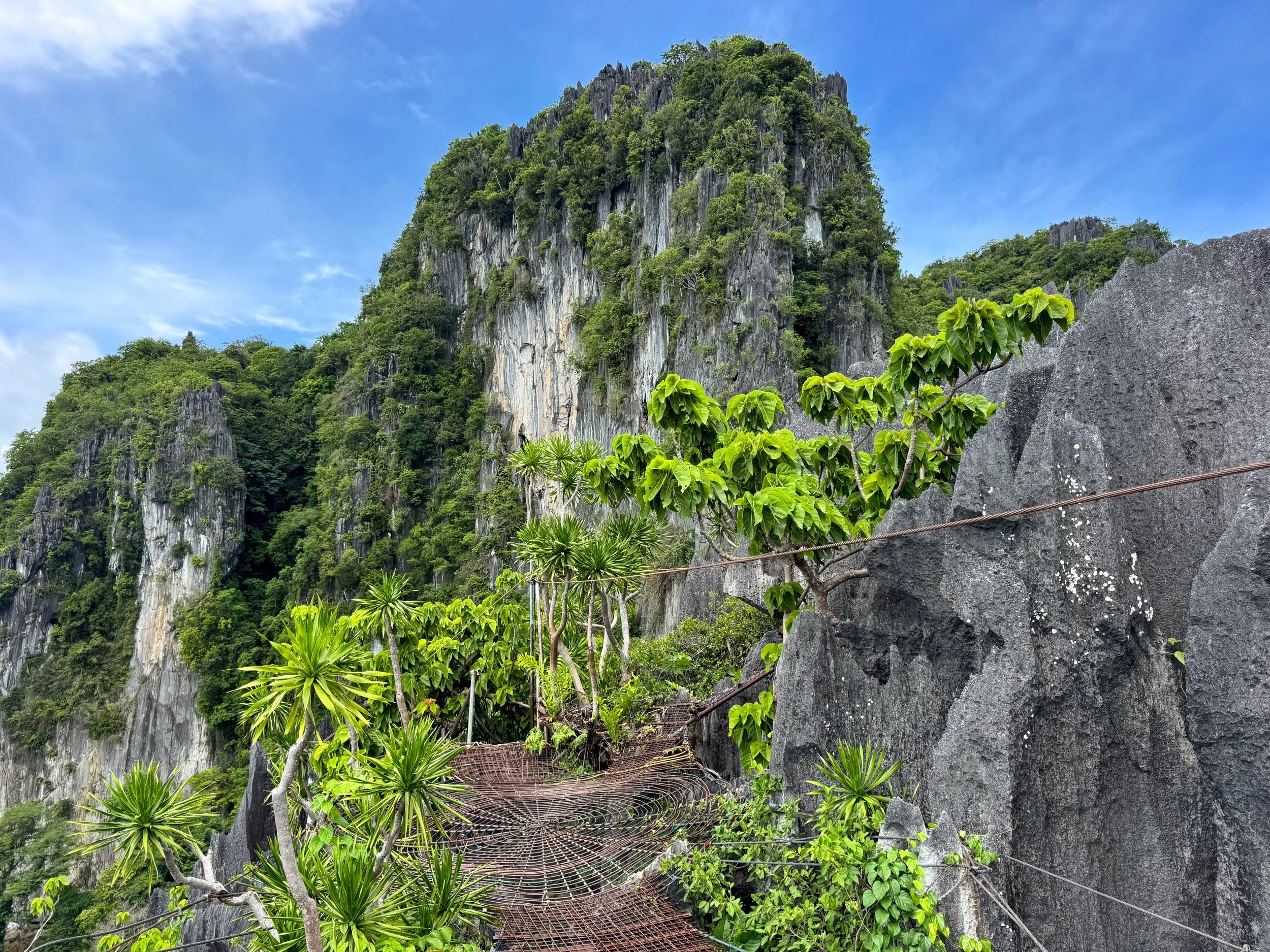 El_Nido_Via_Ferrata_Canopy_Walk_01.jpg