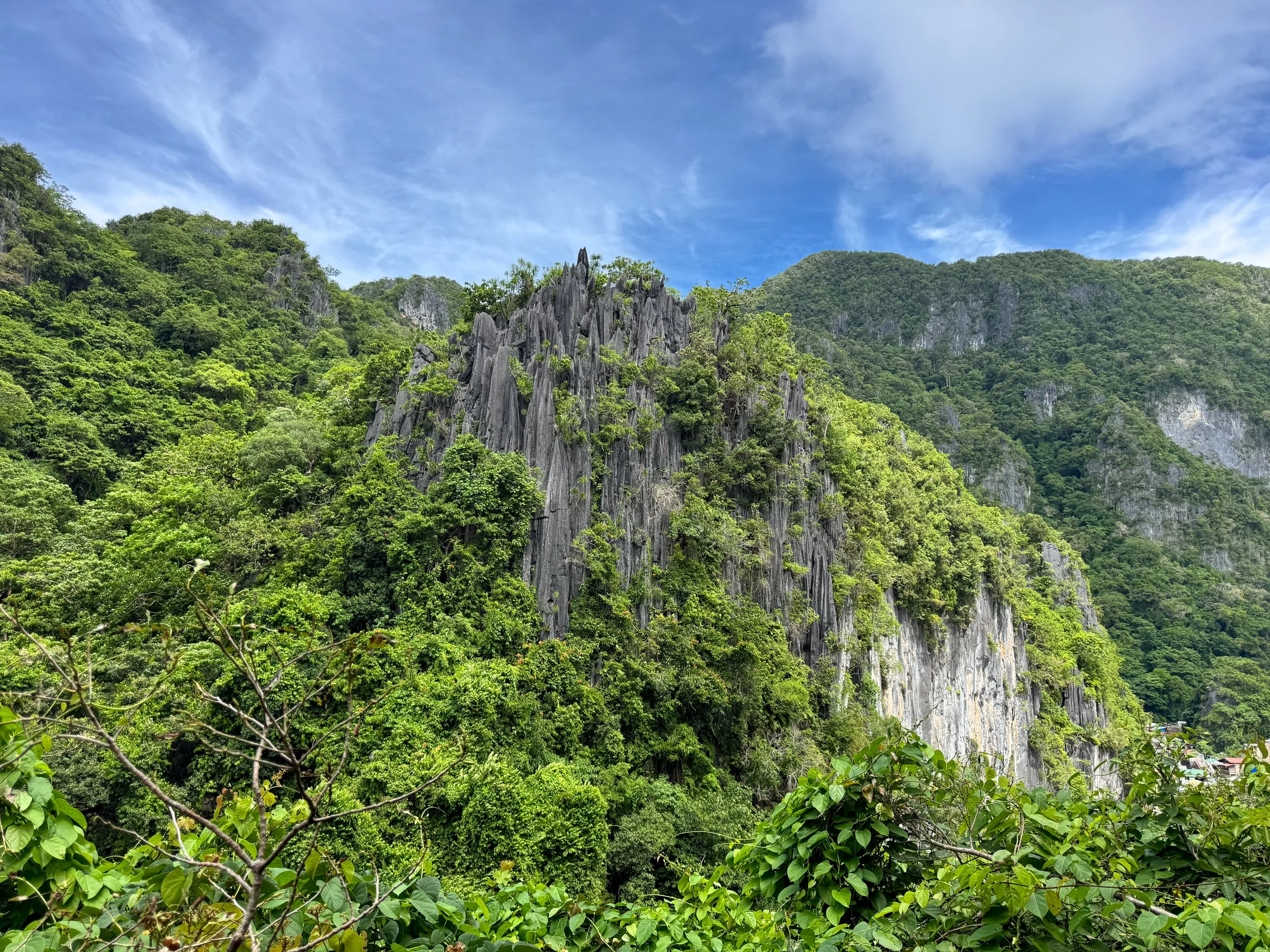 El_Nido_Via_Ferrata_Canopy_Walk_02.jpg