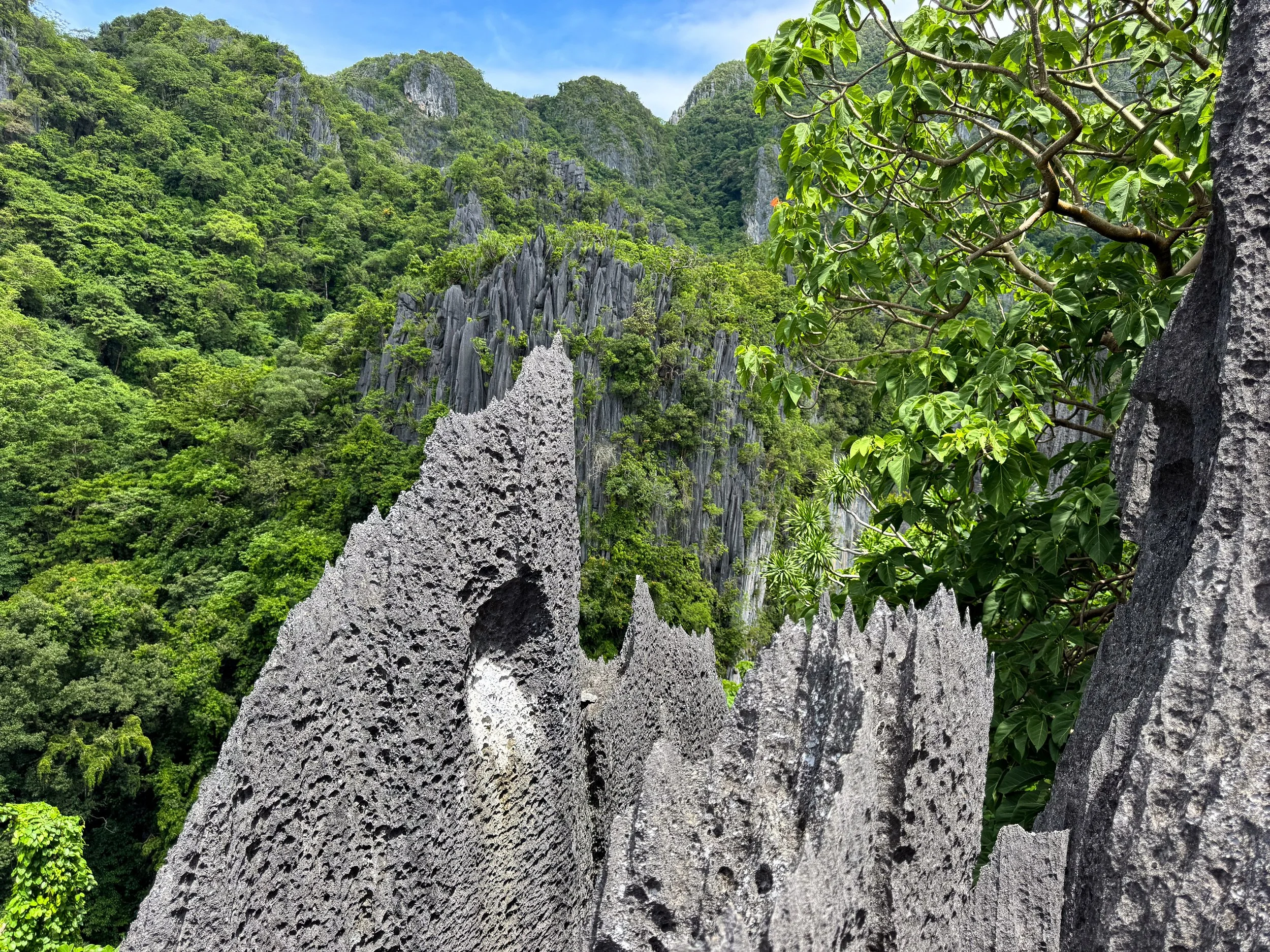 El_Nido_Via_Ferrata_Canopy_Walk_03.jpg