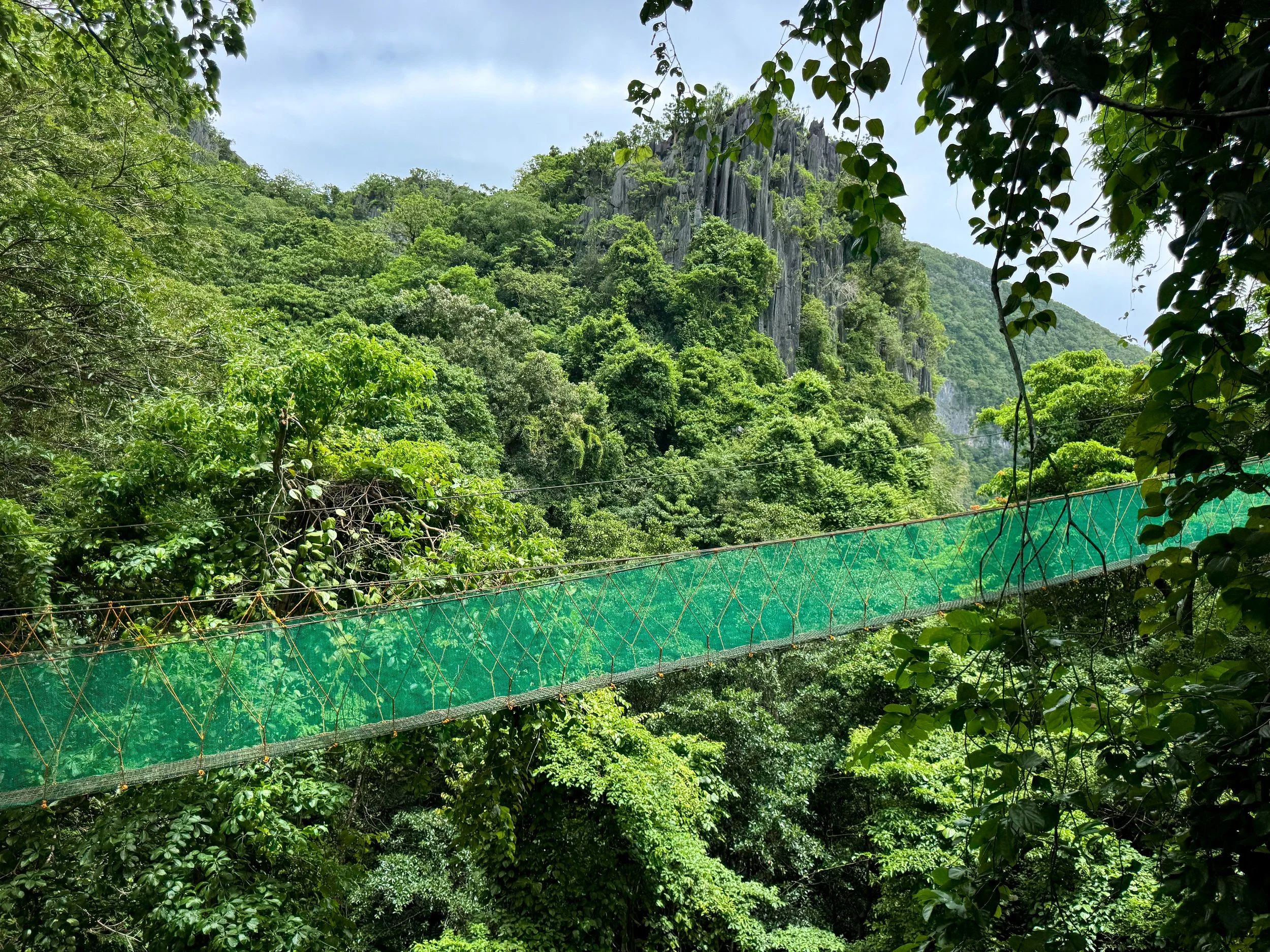 El_Nido_Via_Ferrata_Canopy_Walk_06.jpg