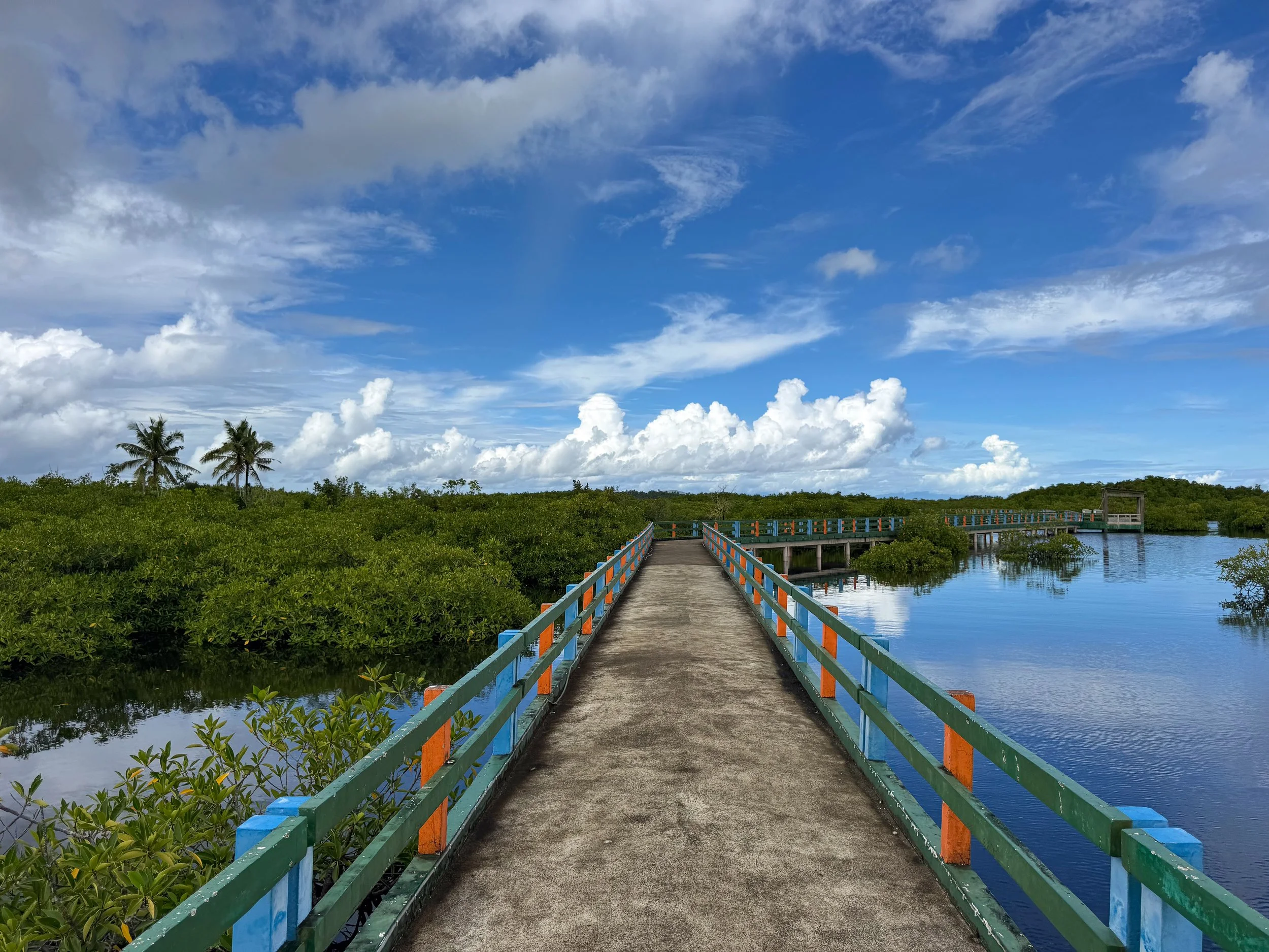 Del_Carmen_Mangrove_Boardwalk_01.jpg