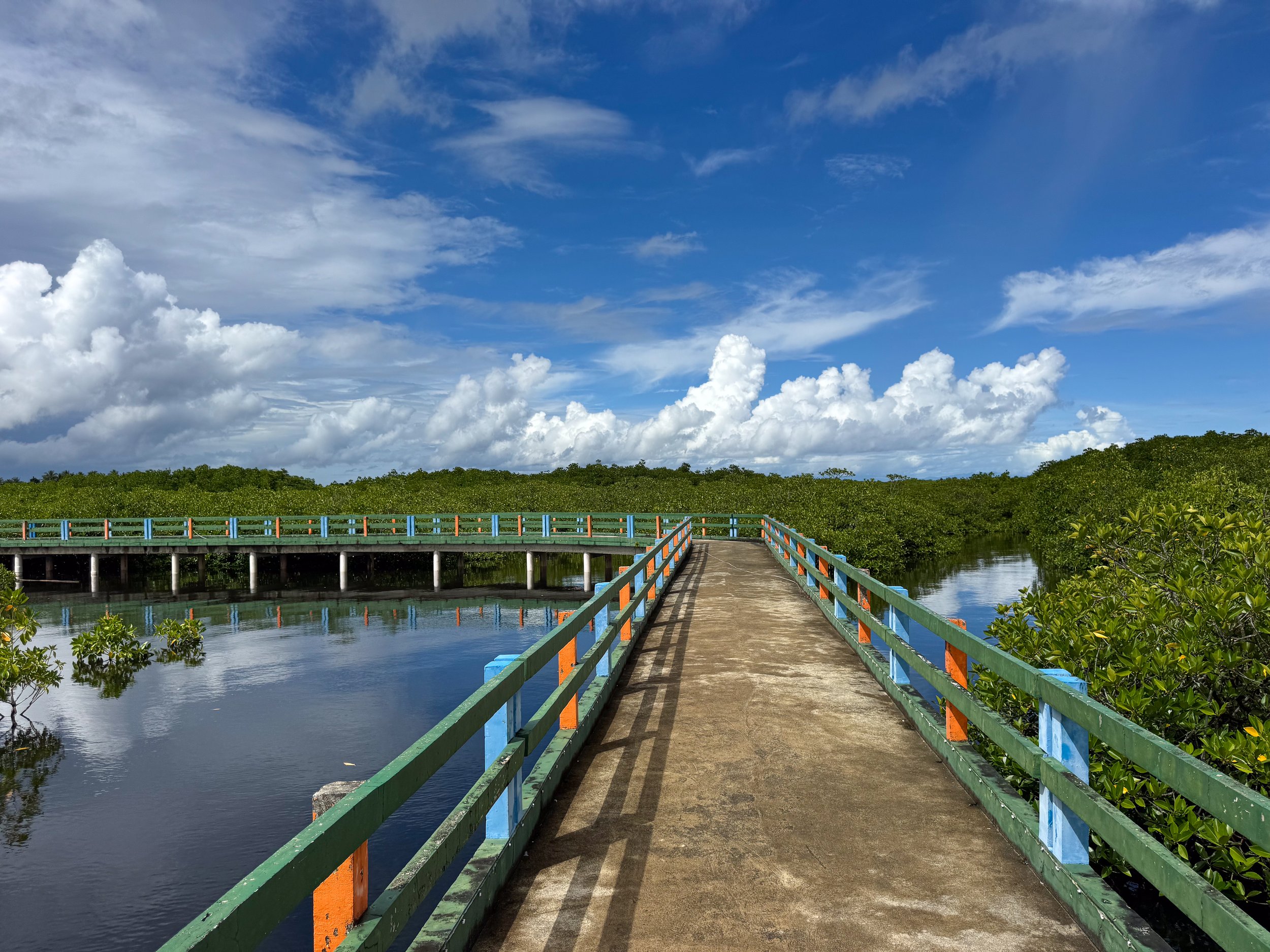 Del_Carmen_Mangrove_Boardwalk_02.jpg