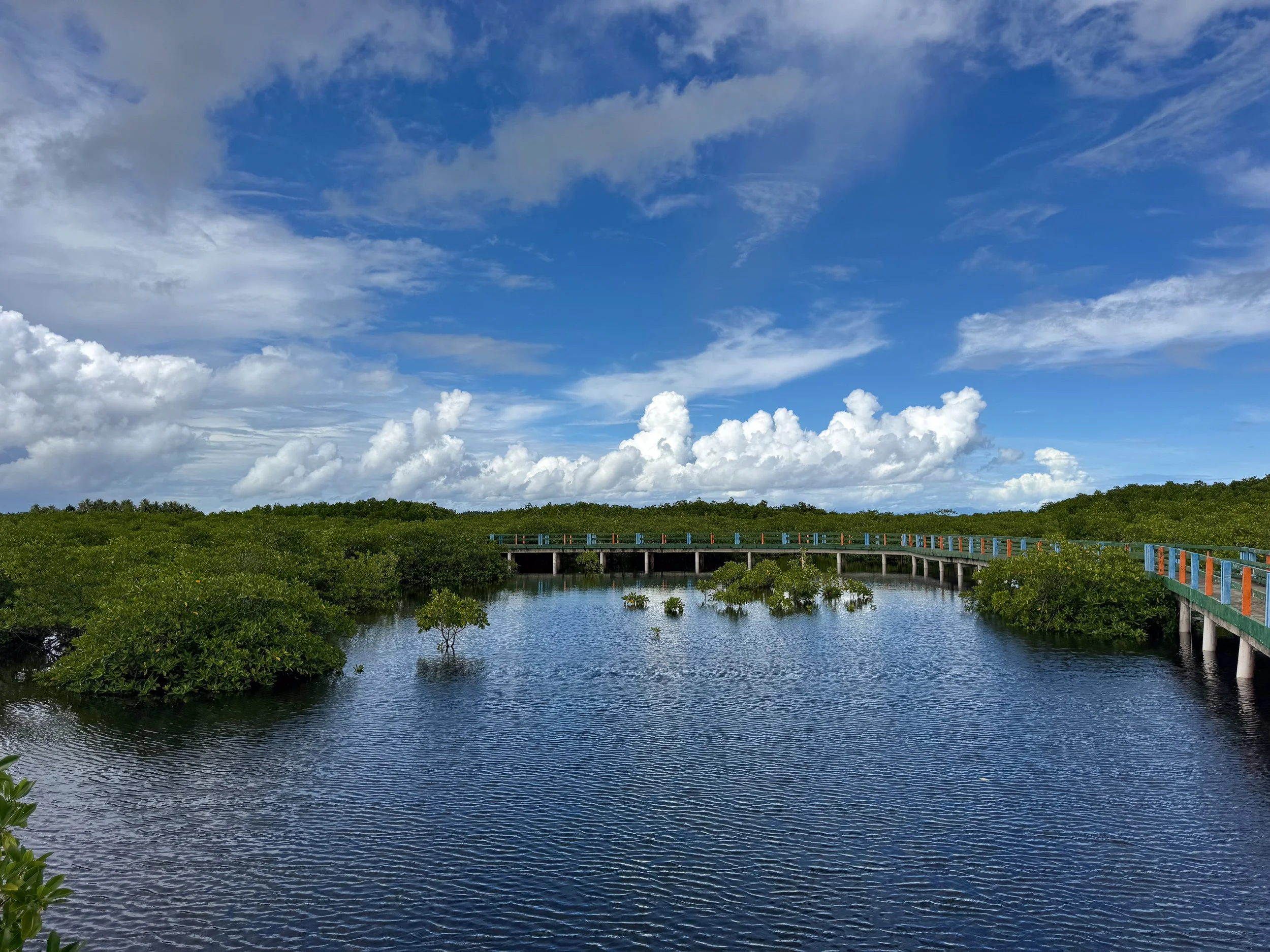 Del_Carmen_Mangrove_Boardwalk_03.jpg