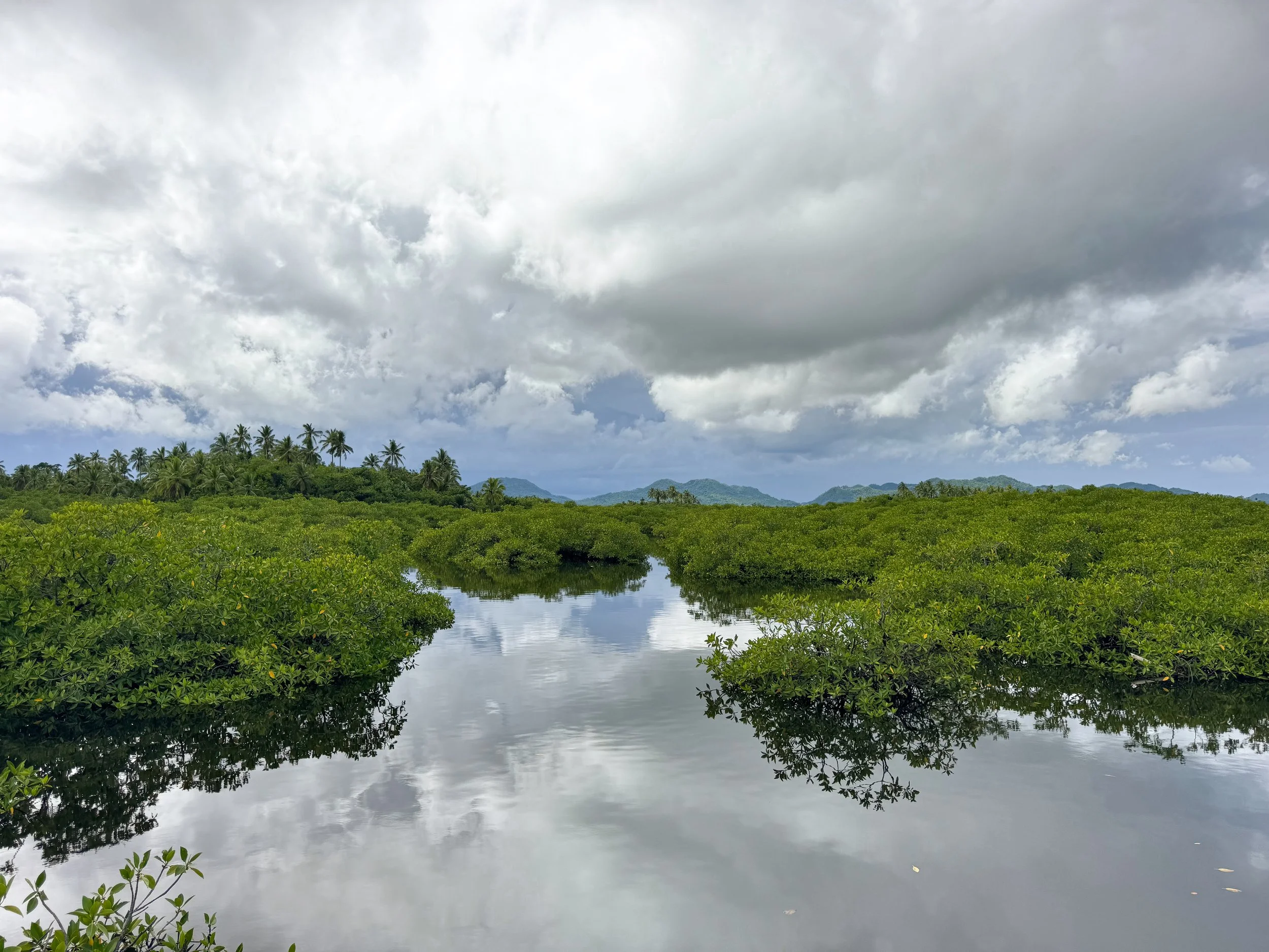 Del_Carmen_Mangrove_Boardwalk_07.jpg