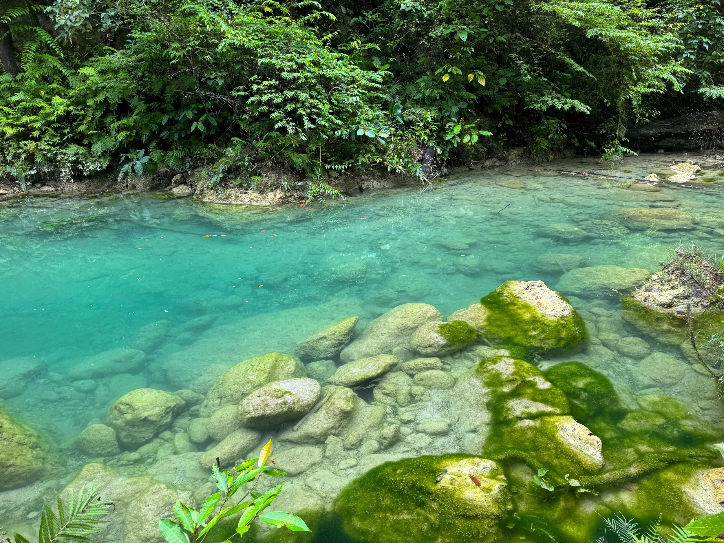 Kawasan_River_Canyon_04.jpg
