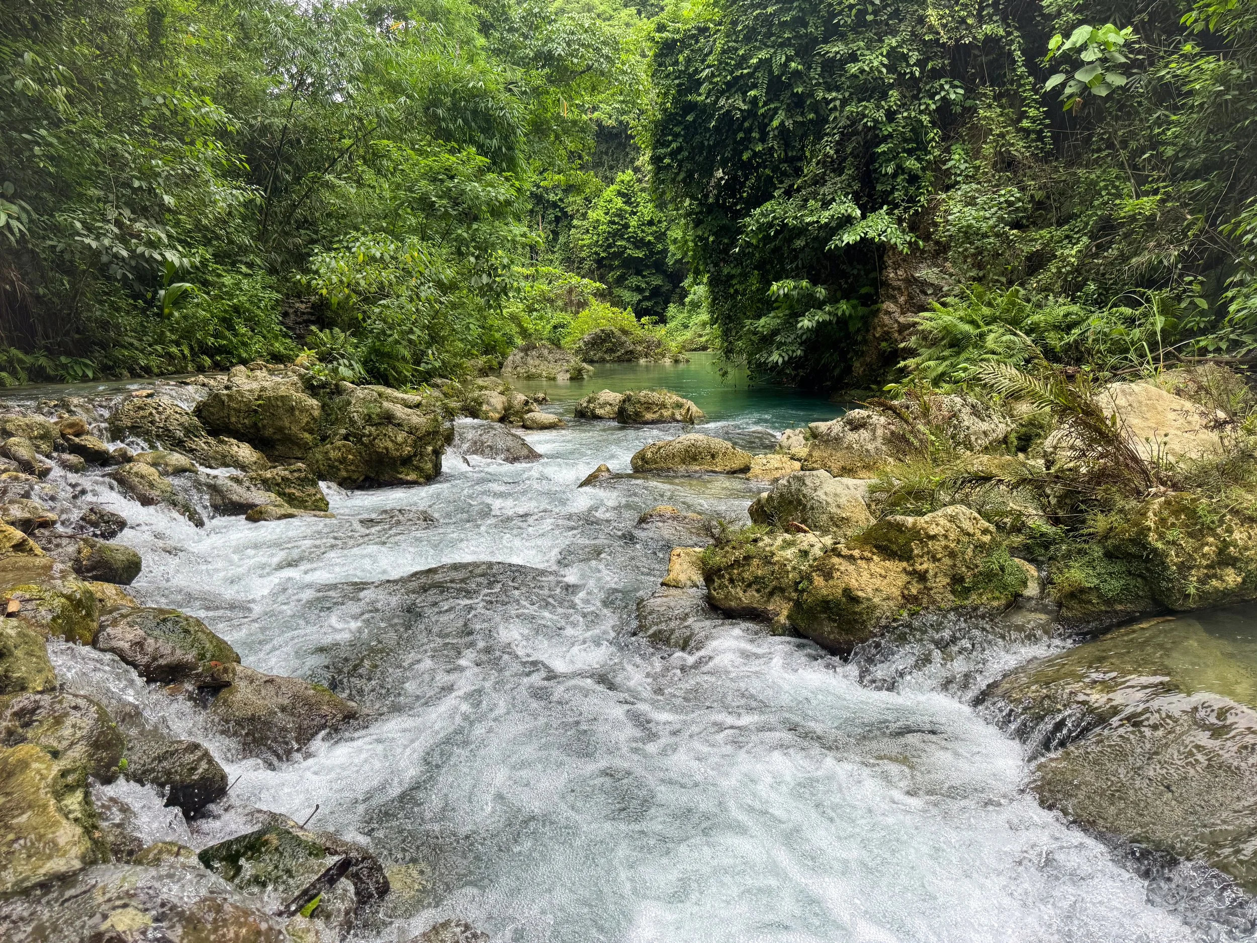 Kawasan_River_Canyon_06.jpg