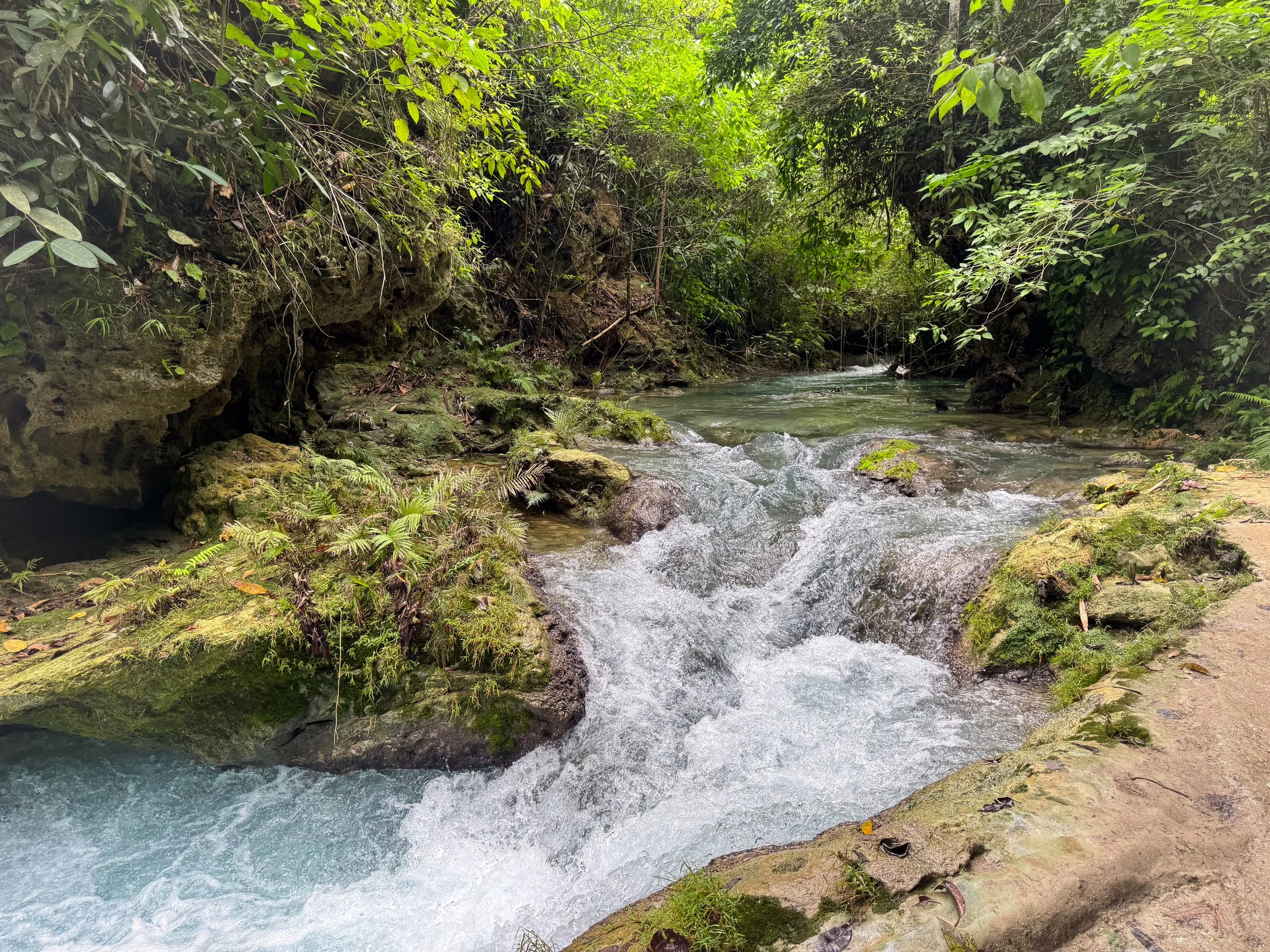 Kawasan_River_Canyon_07.jpg