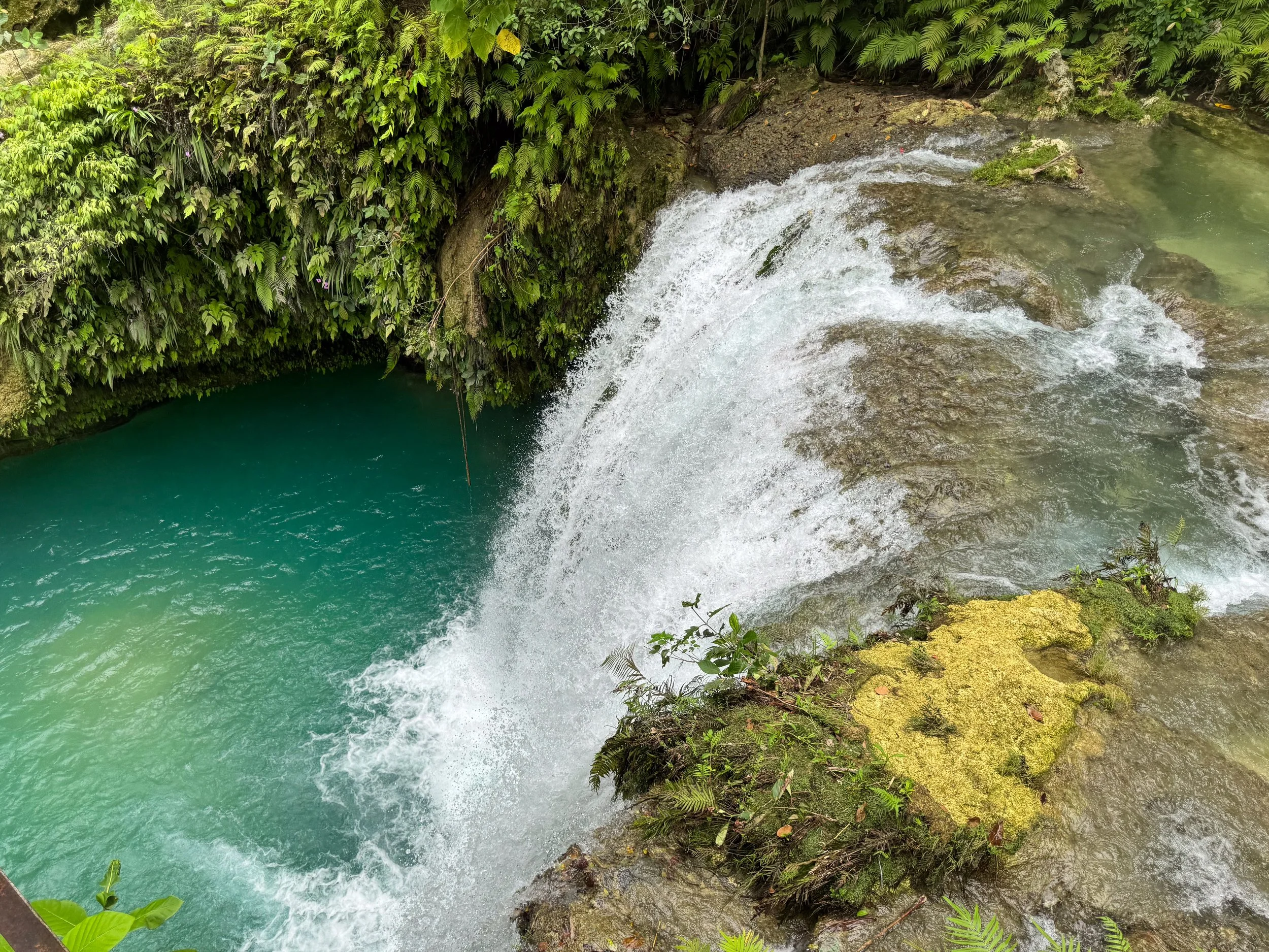 Kawasan_Falls_05.jpg