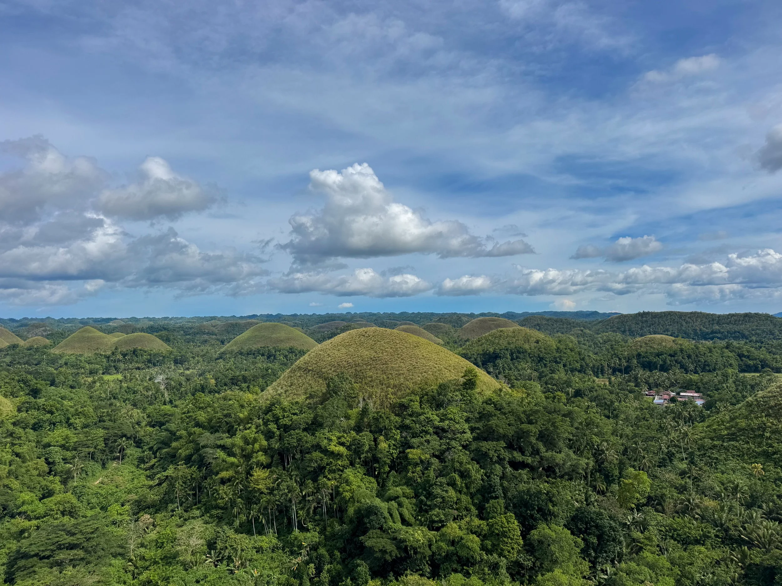 Bohol_Chocolate_Hills_03.jpg