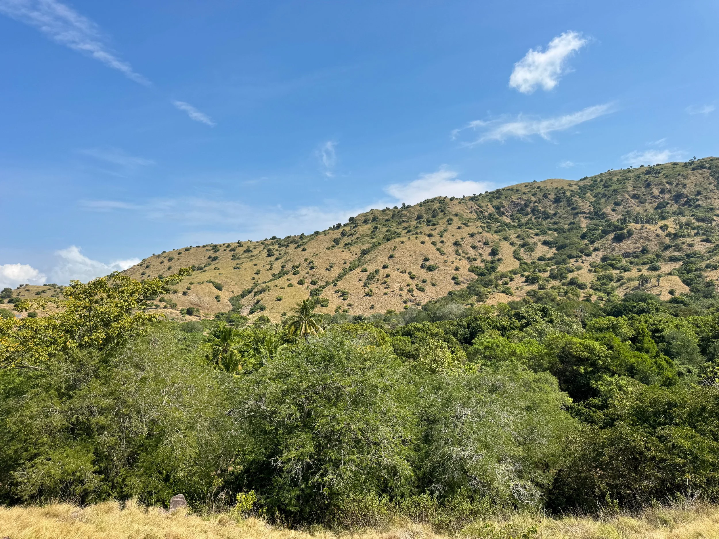 Komodo_National_Park_07.jpg