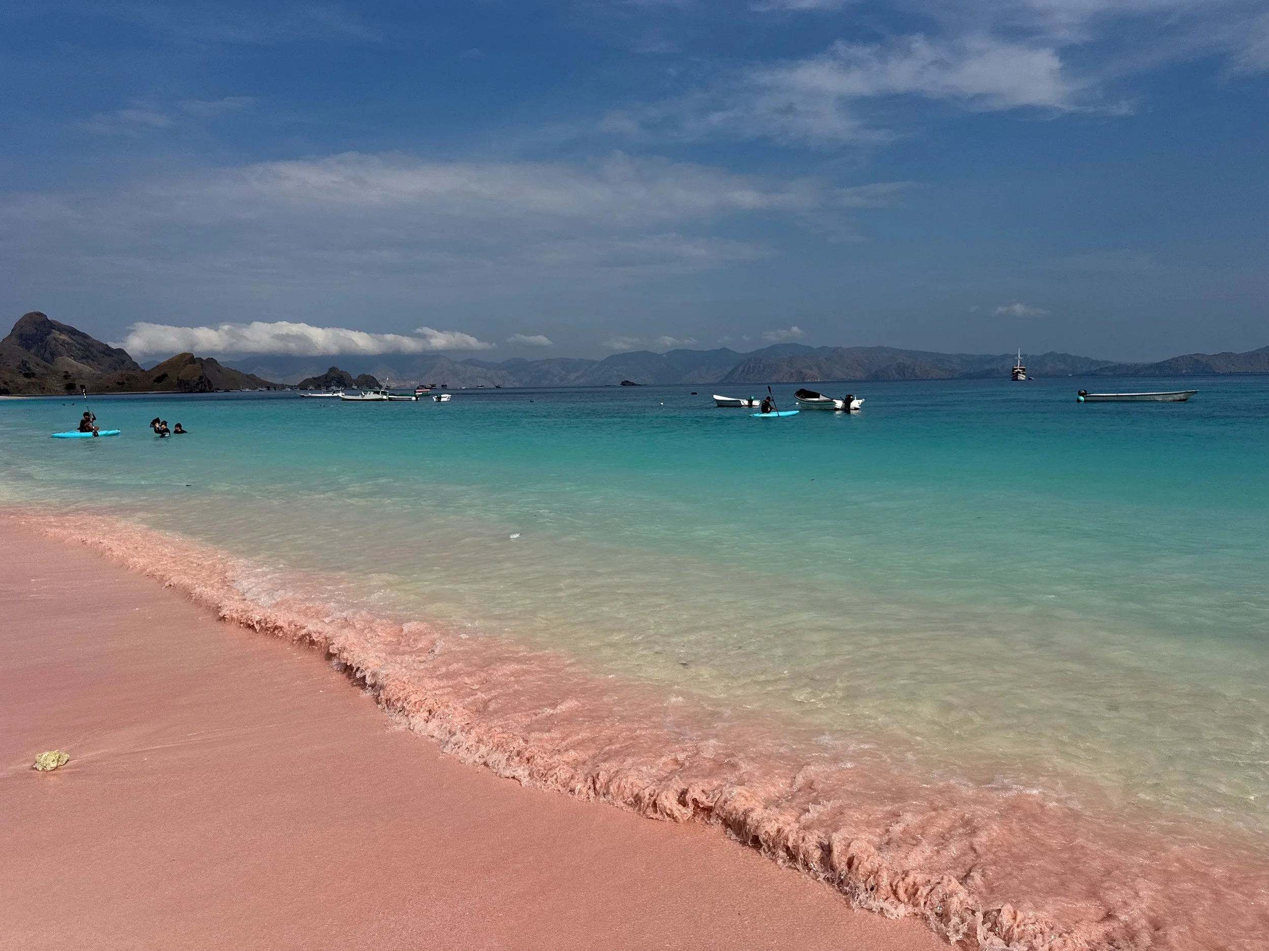 Padar_Island_Pink_Beach_03.jpg