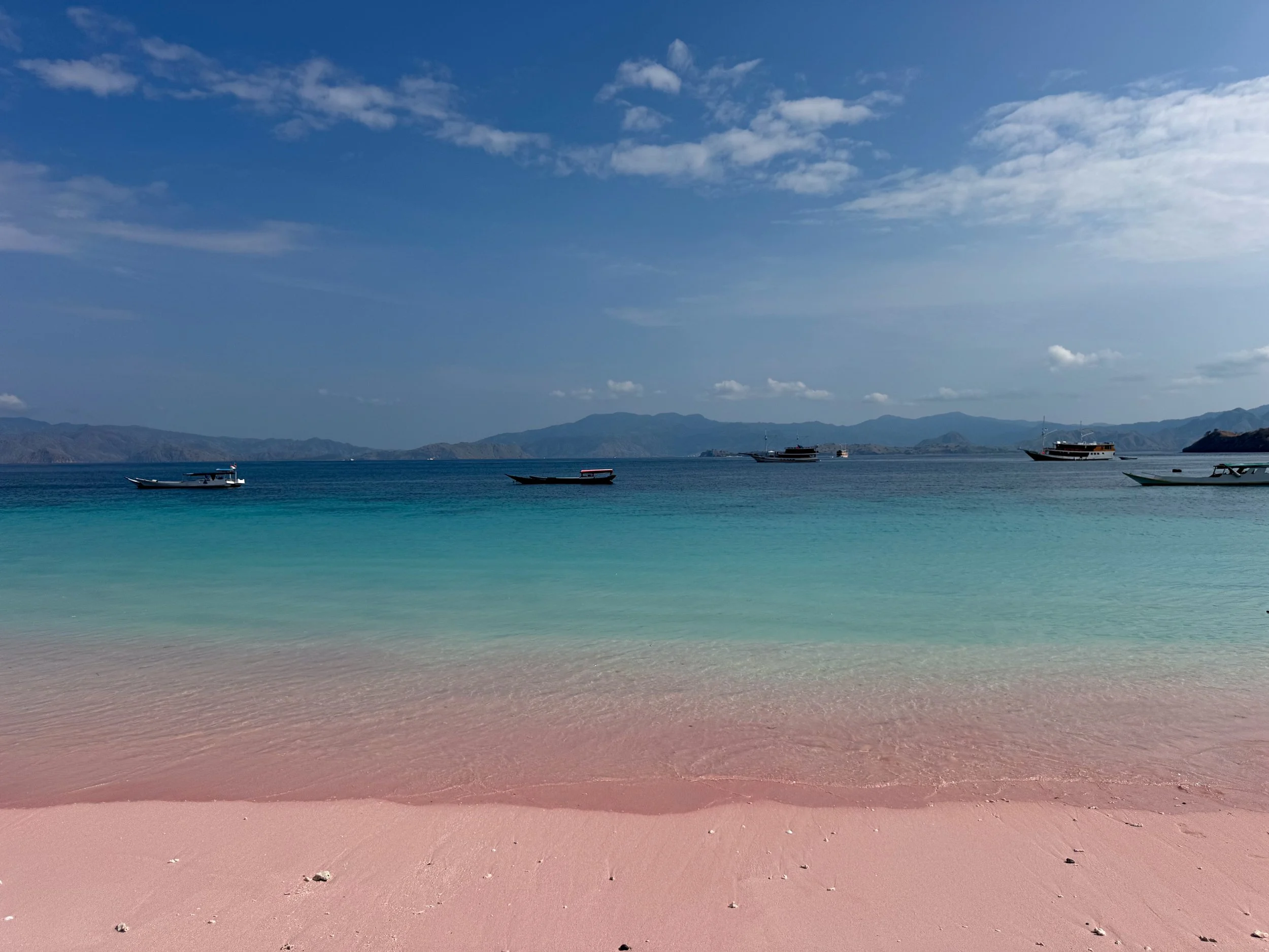Padar_Island_Pink_Beach_04.jpg