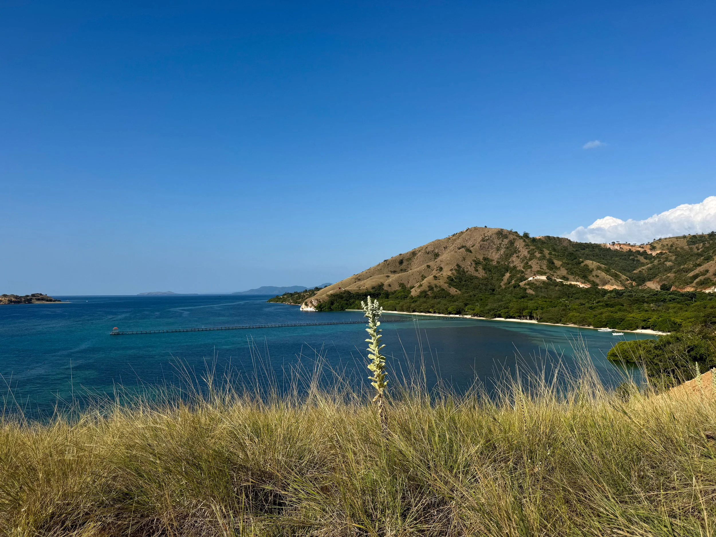 Wills_Hills_Labuan_Bajo_01.jpg