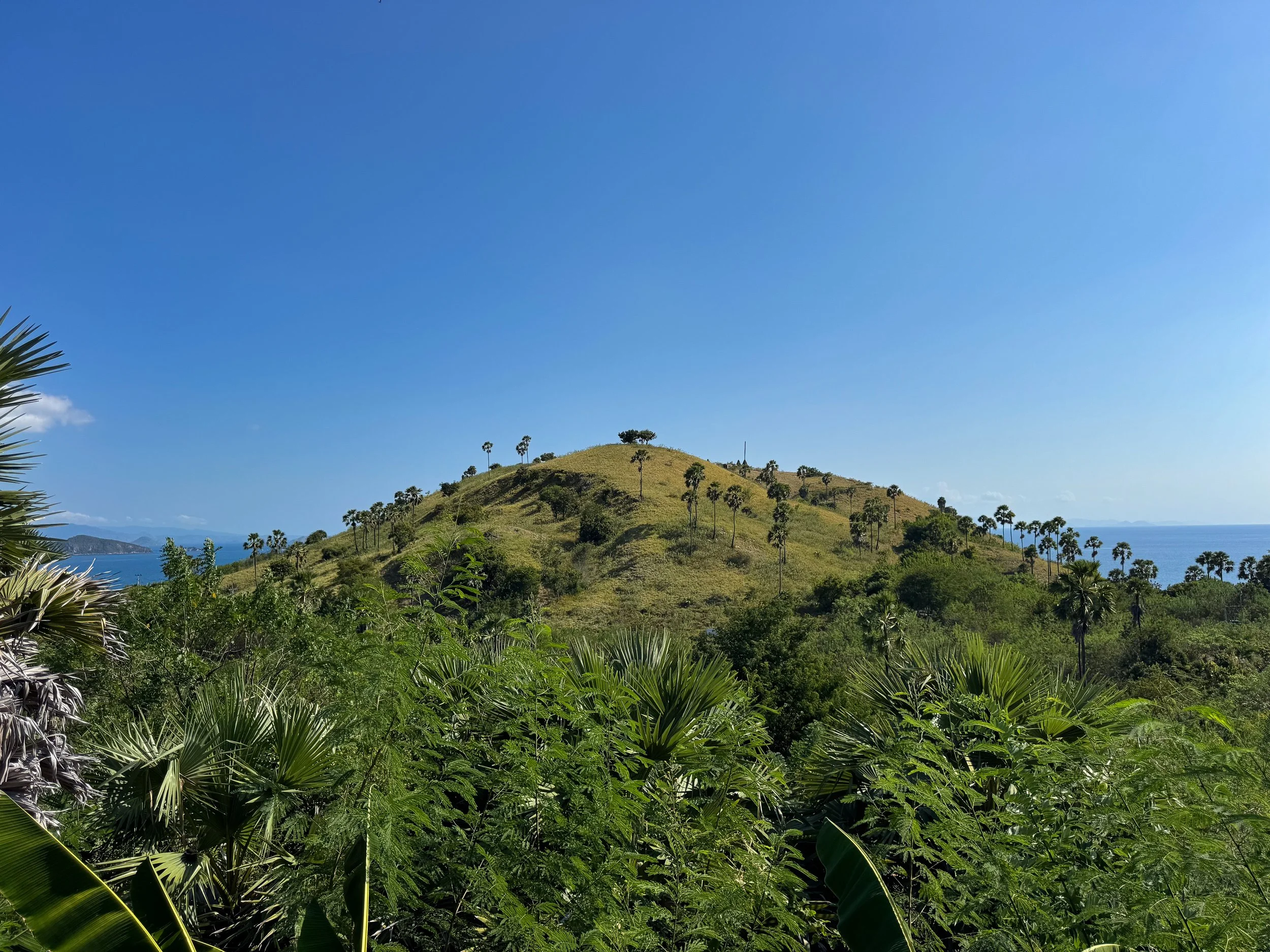 Wills_Hills_Labuan_Bajo_07.jpg