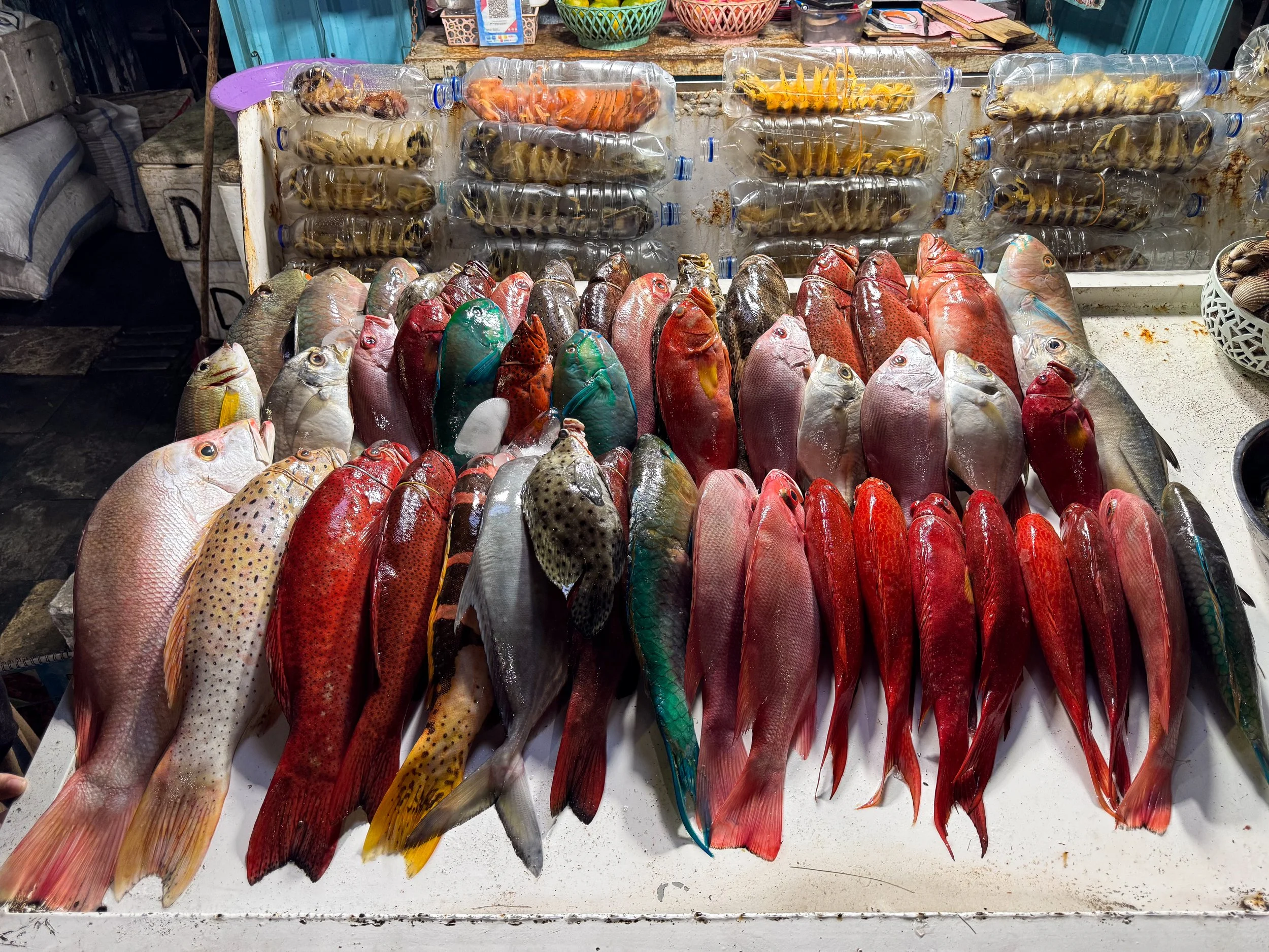 Labuan_Bajo_Fish_Market_03.jpg