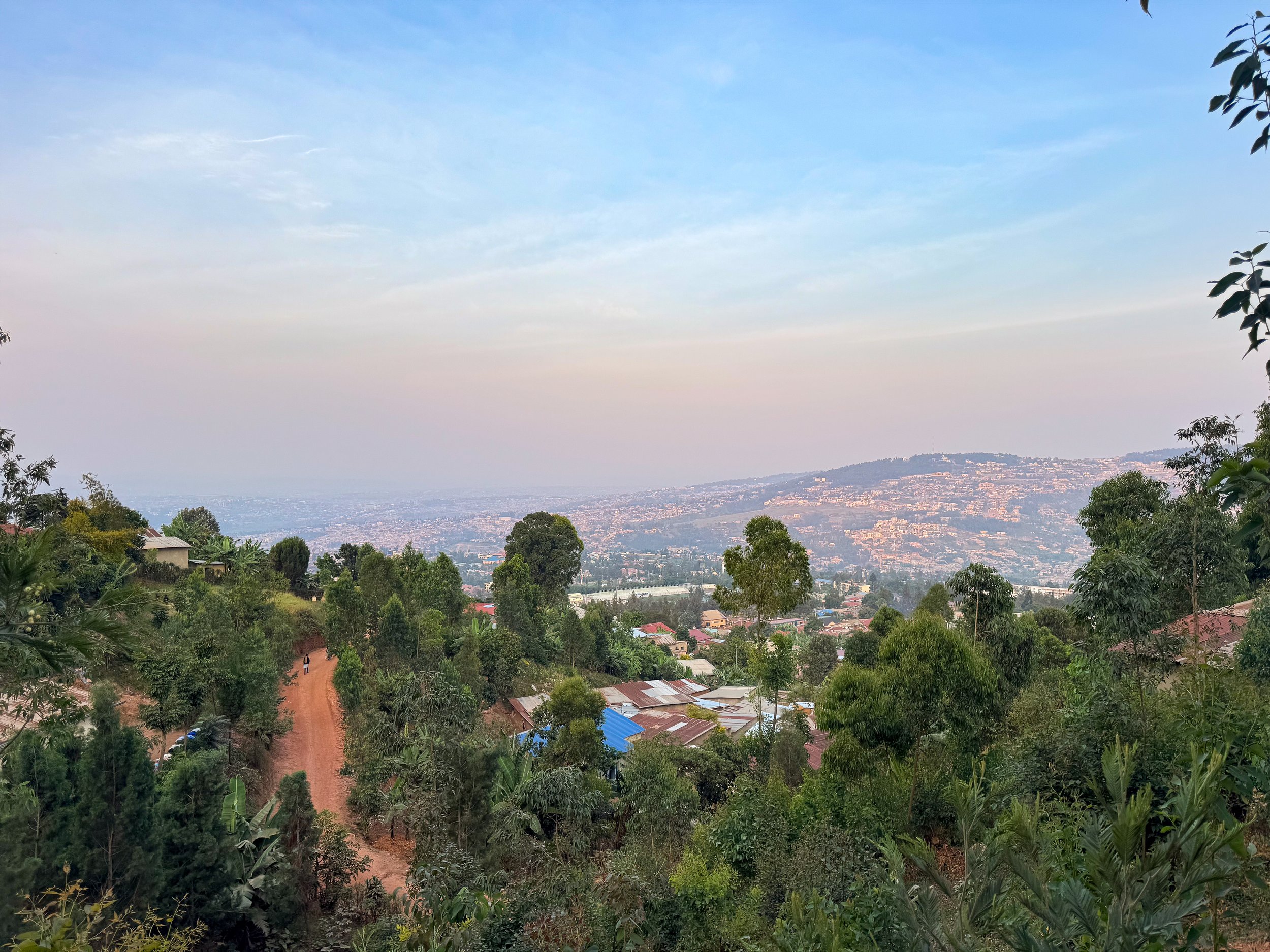 Mount_Kigali_Forest_02.jpg