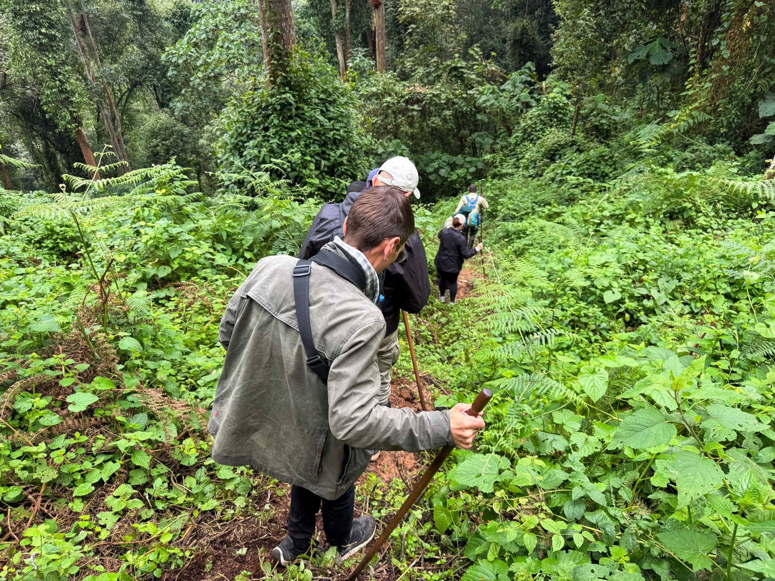 Nyungwe_Chimpanzee_Trekking_05.jpg